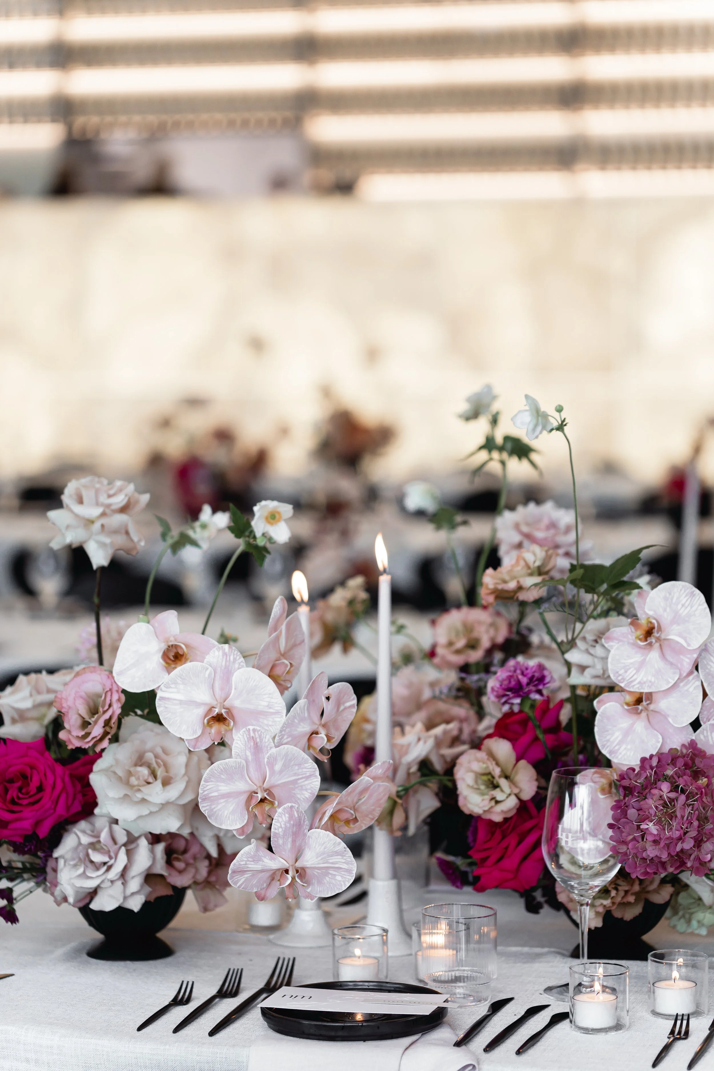 Fox & Mae-105.jpg