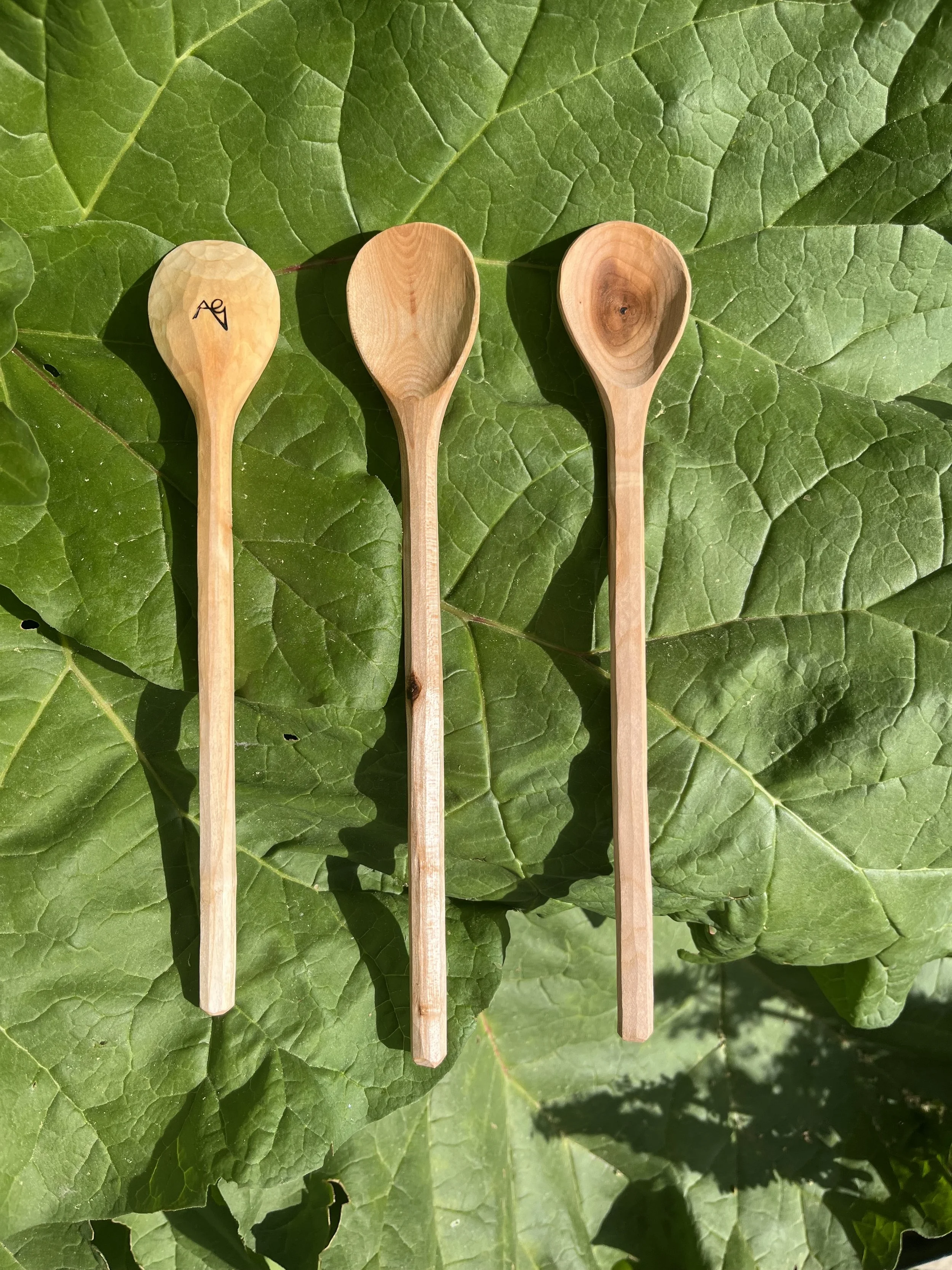 Adventure spoons.jpeg