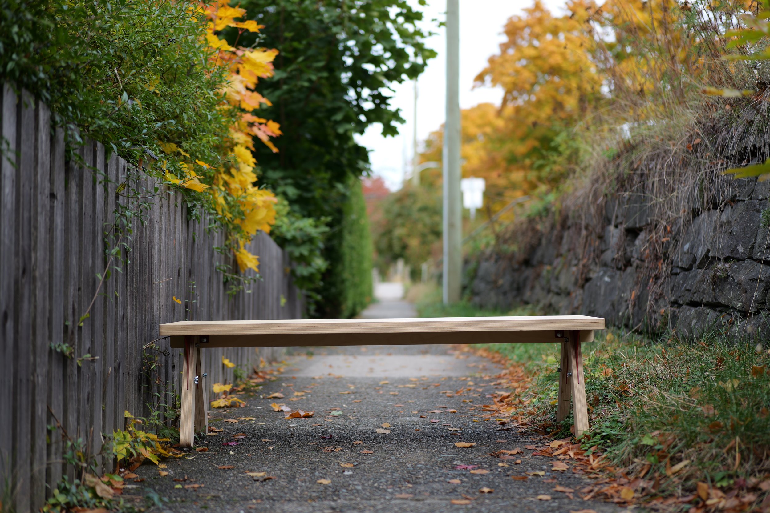 A wooden bench on a paved pathway surrounded by fall foliage and a stone wall on the right and a wooden fence on the left.
