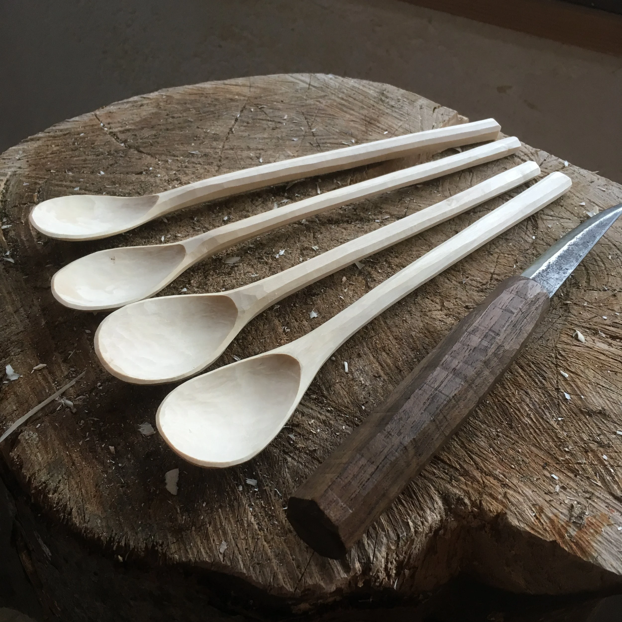Spoon carving Intro - June 7th 2026