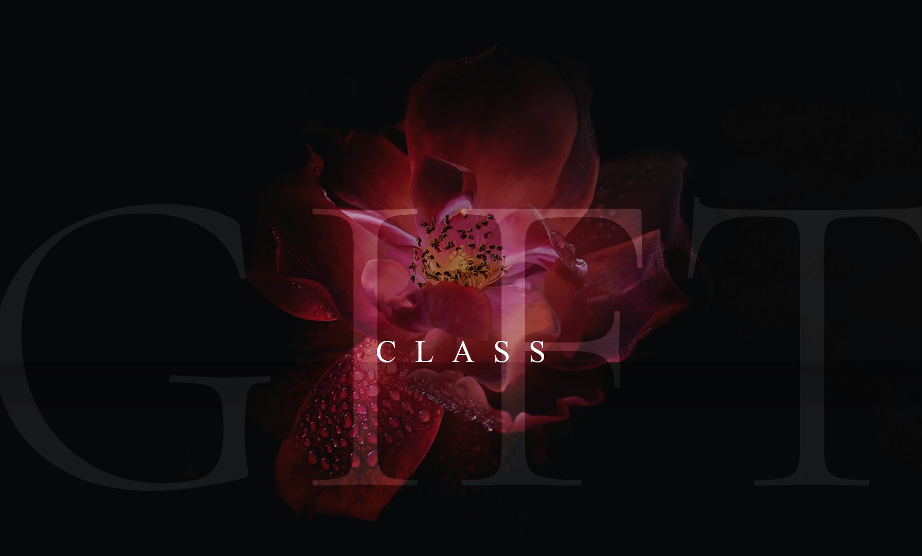 Button-GIFT-CARD---class.jpg