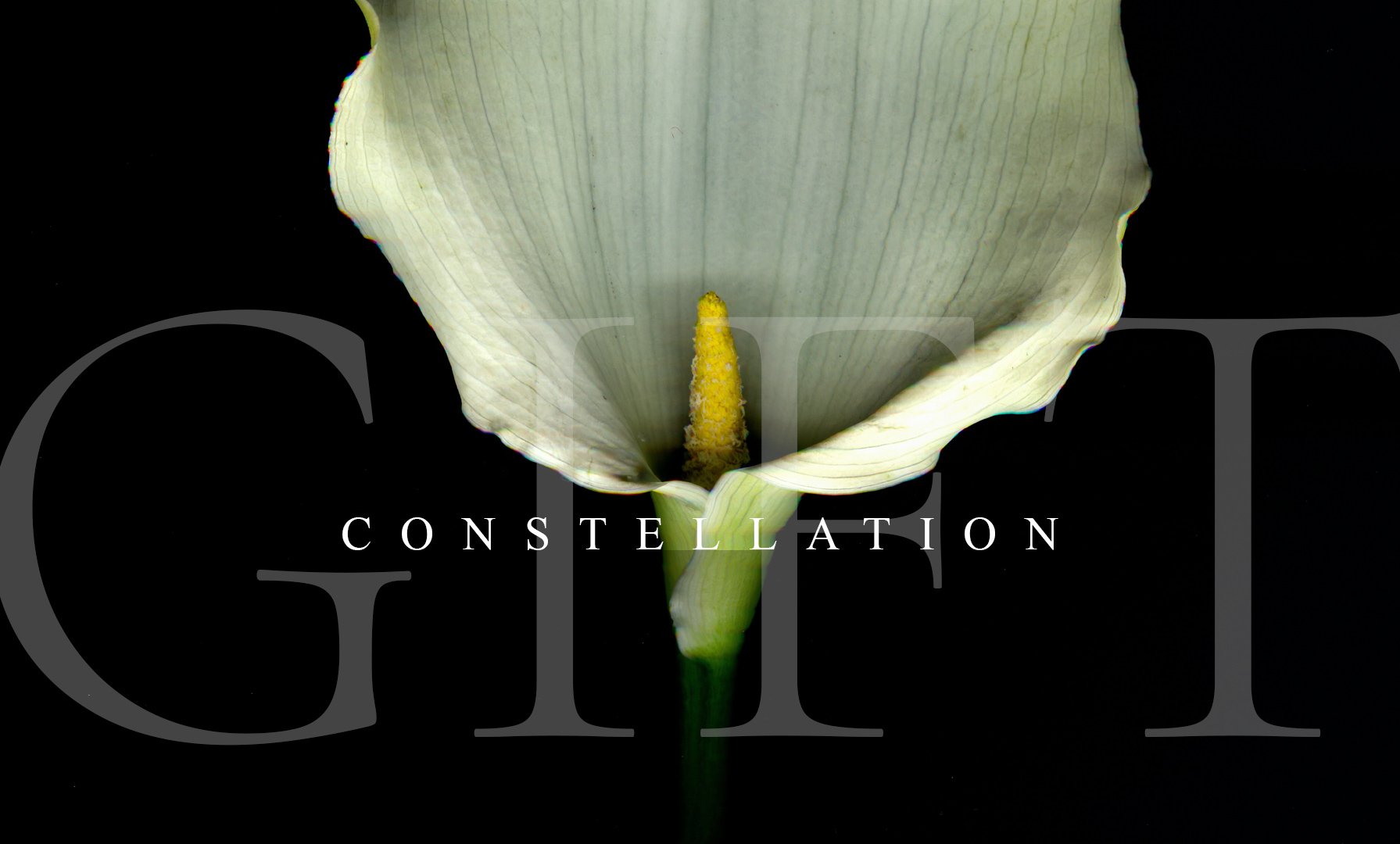Button-GIFT-CARDconstellation.jpg