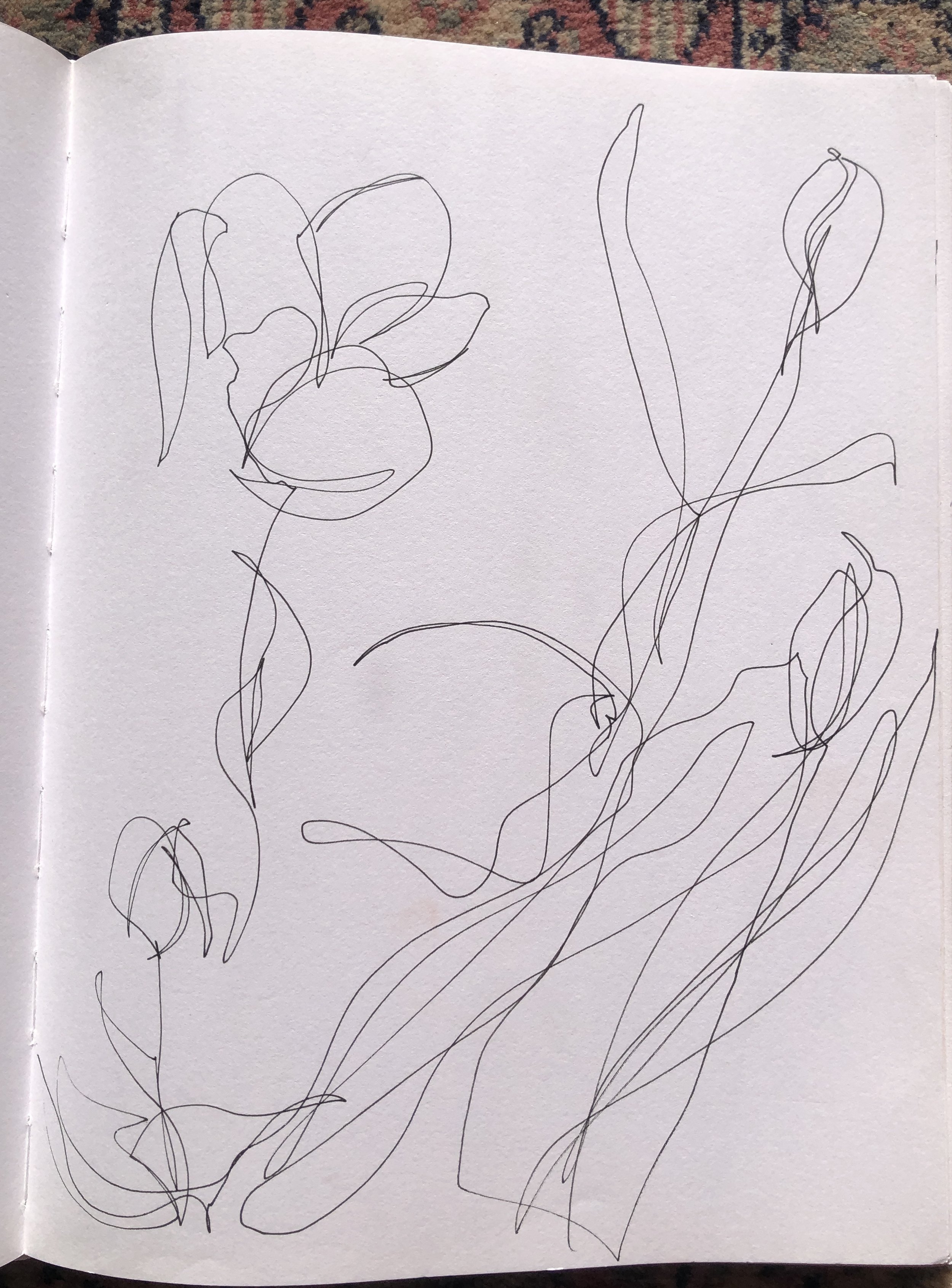 This is a blind contour of tulips. Blind contour is a wonderful way to connect with the subject and let go of judgment