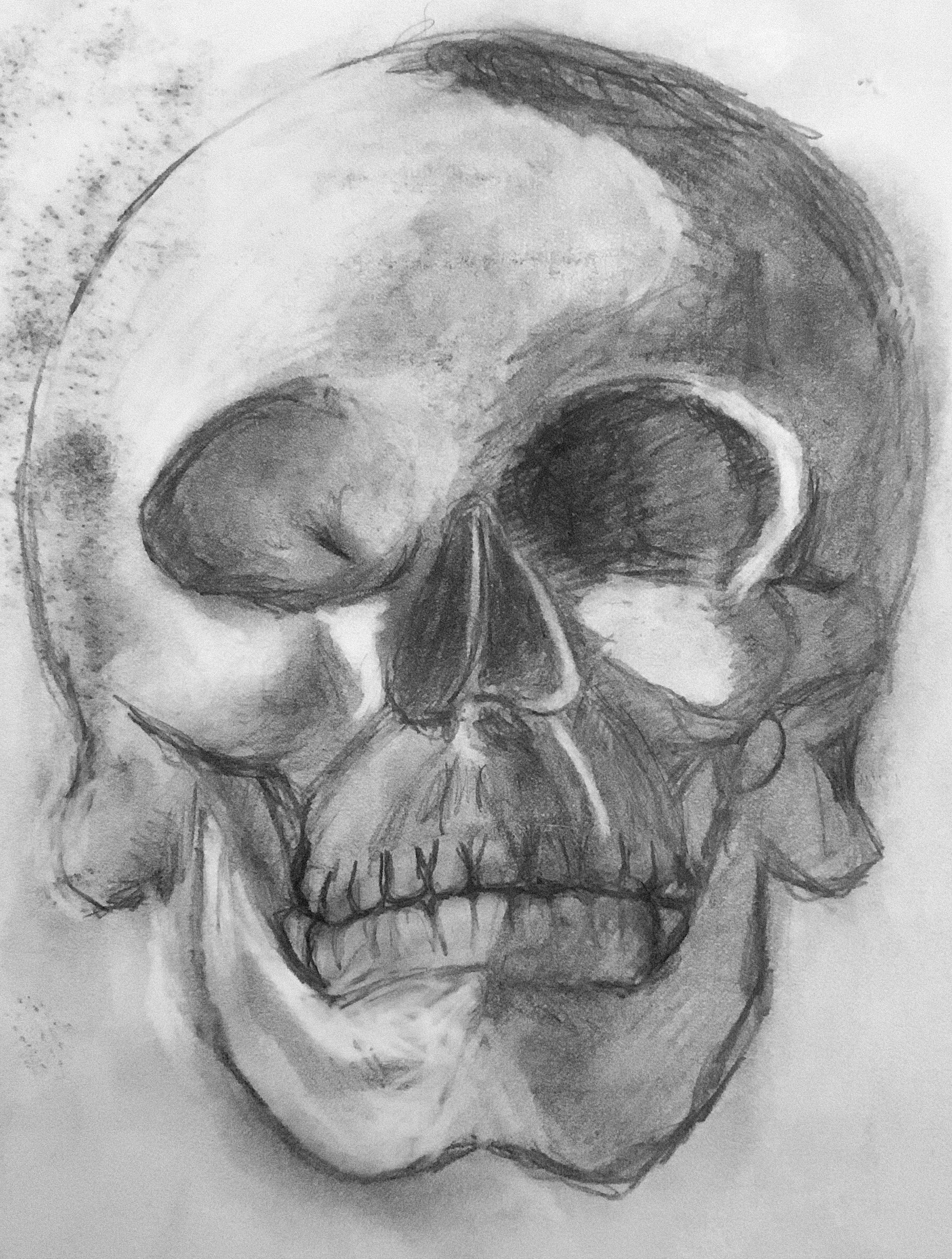 Human Skull Study (graphite on paper)