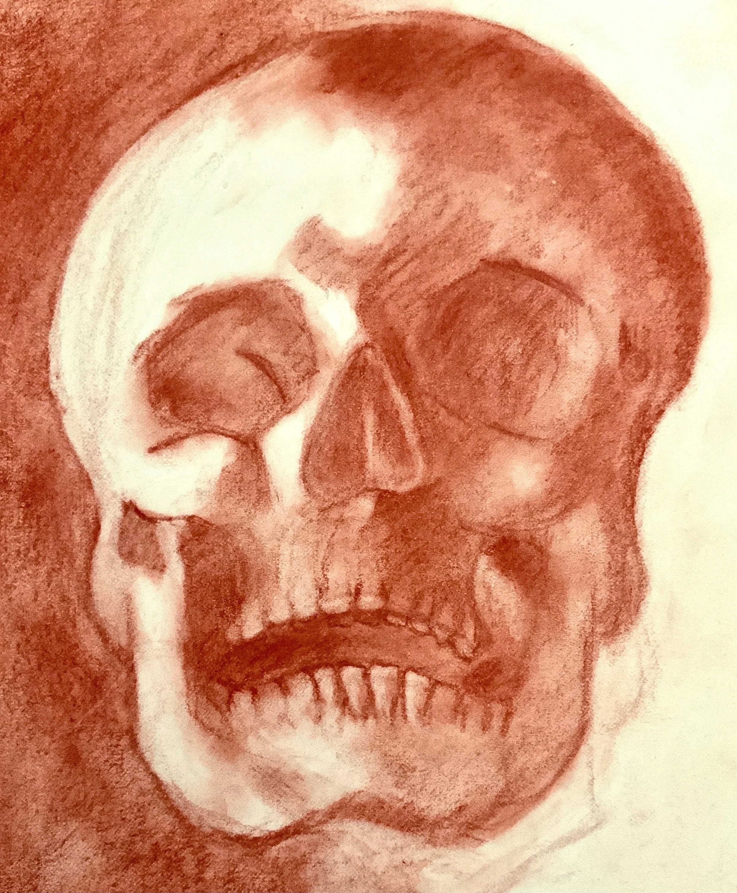Human Skull Study (Sanguine Conte Crayon on Tinted Paper)