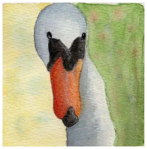 swan2.jpg