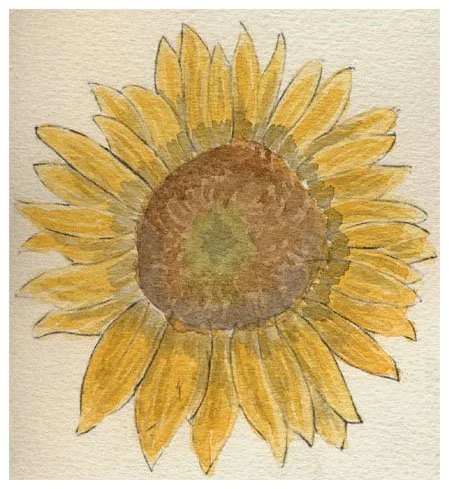 sunflowe.jpg