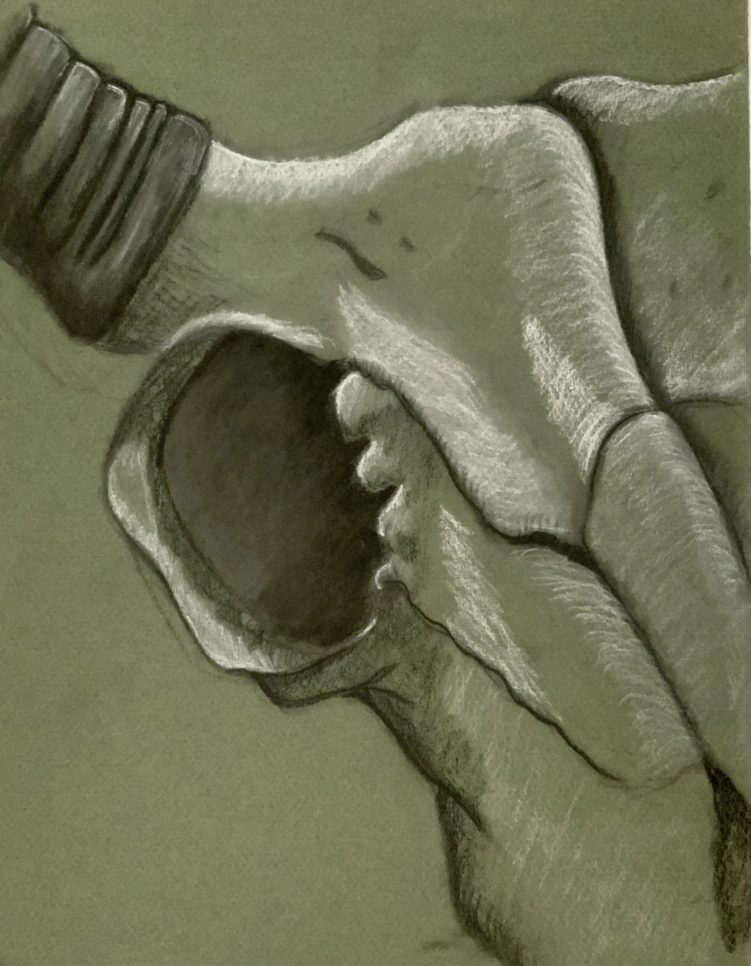 Bull Skull Study (Charcoal and soft pastel  on tinted paper)