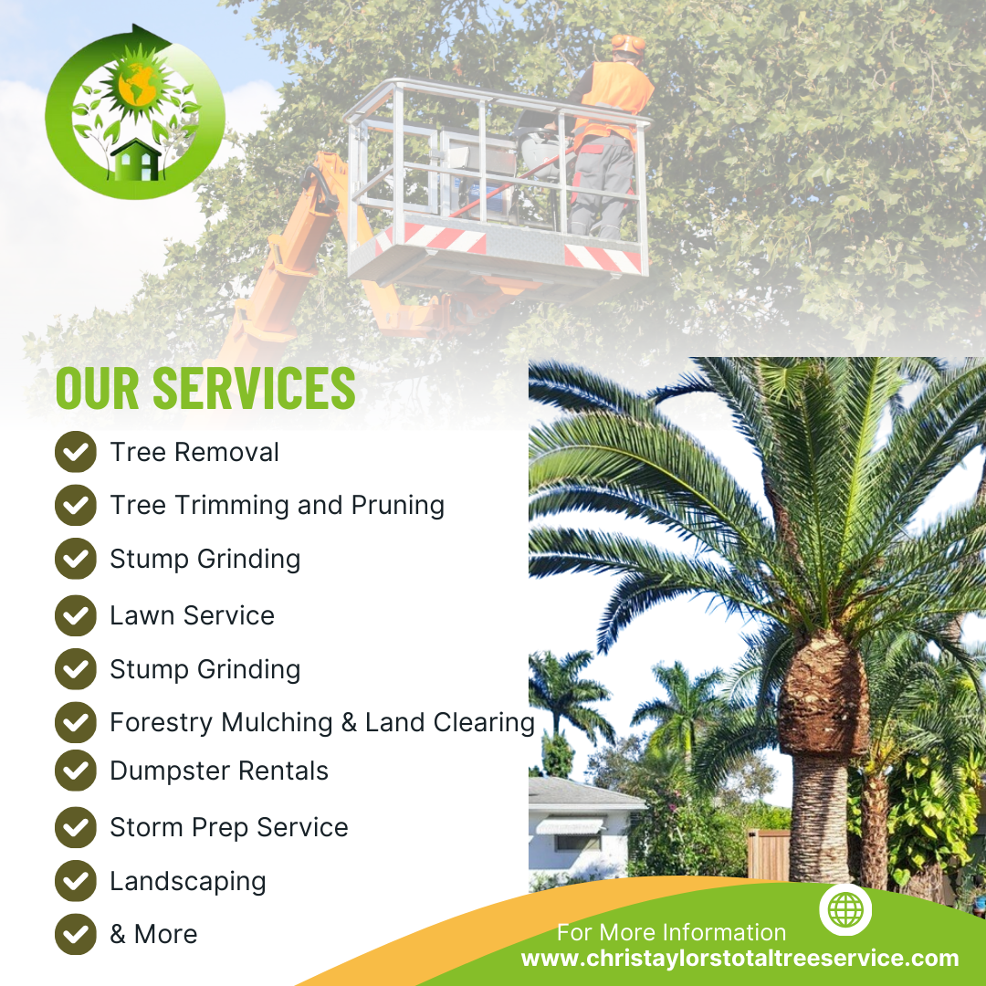 A flyer featuring trees and landscaping services, with an image of workers on a lift trimming trees, a large palm tree, and a list of services including tree removal, pruning, stump grinding, lawn service, forestry mulching, dumpster rentals, storm prep, and landscaping.
