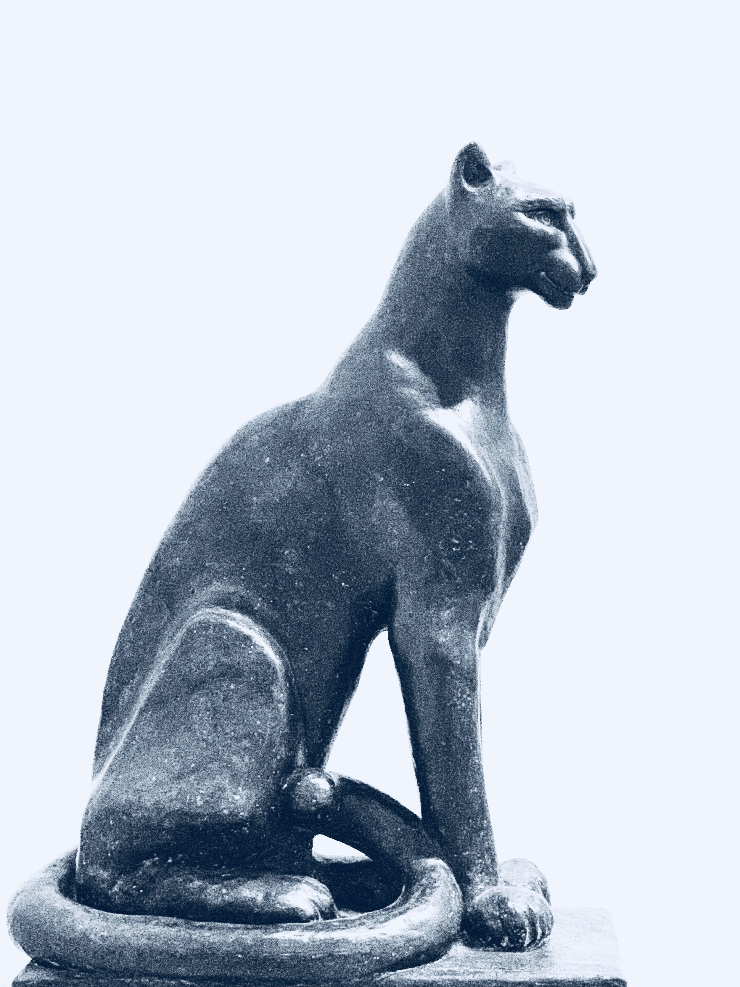 Puma Bleue, 2025