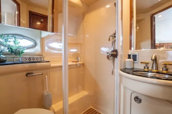 Cozy bathroom with a small shower area, oval windows, a curved sink with gold fixtures, and a potted plant on the left window ledge.