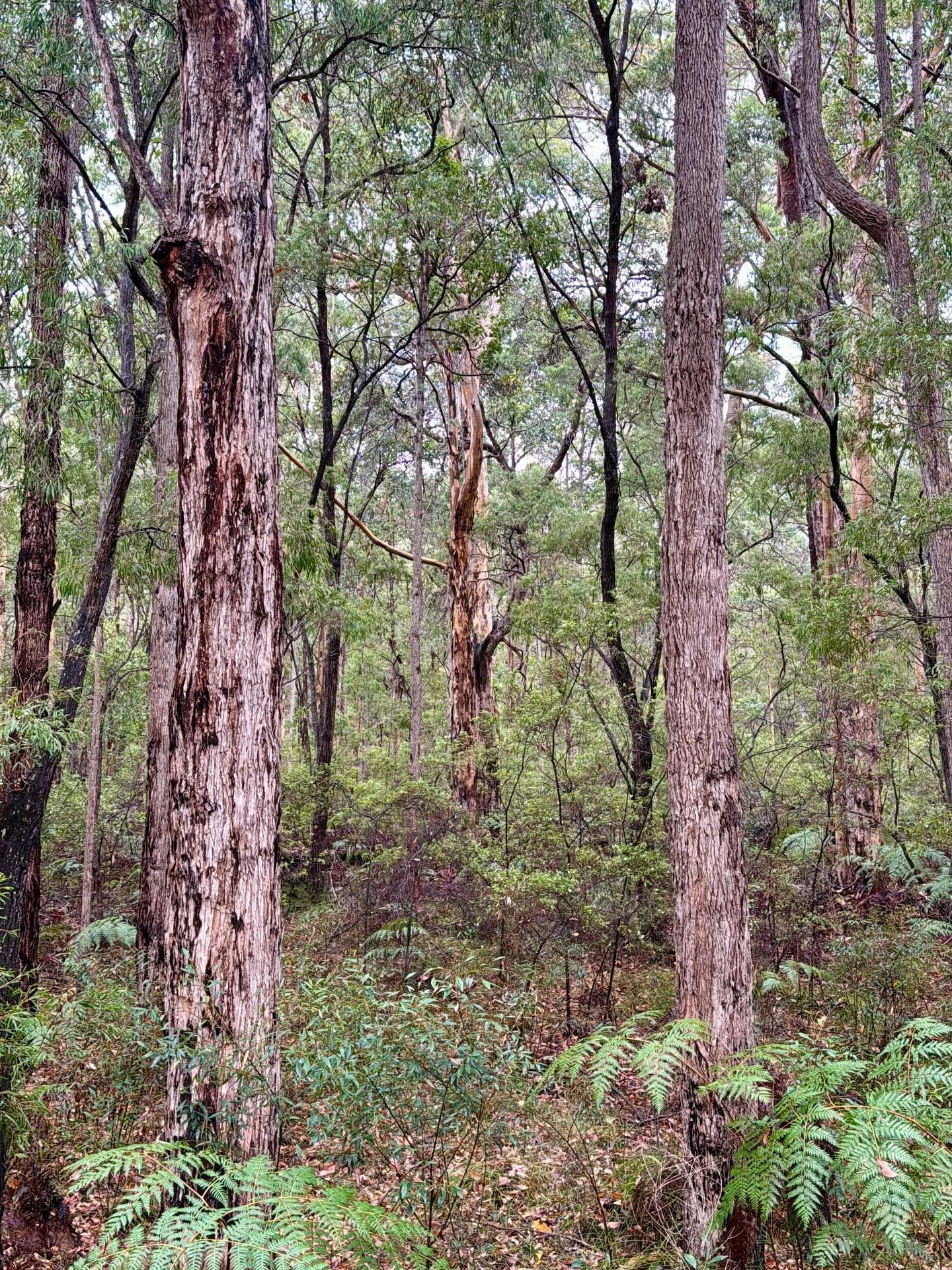 How do you look after yourself when no one else is watching? 

In each moment we have a choice to either choose the things that deeply nourish us building our health or those that deplete us. 

It&rsquo;s the consistency in these moments of choosing 