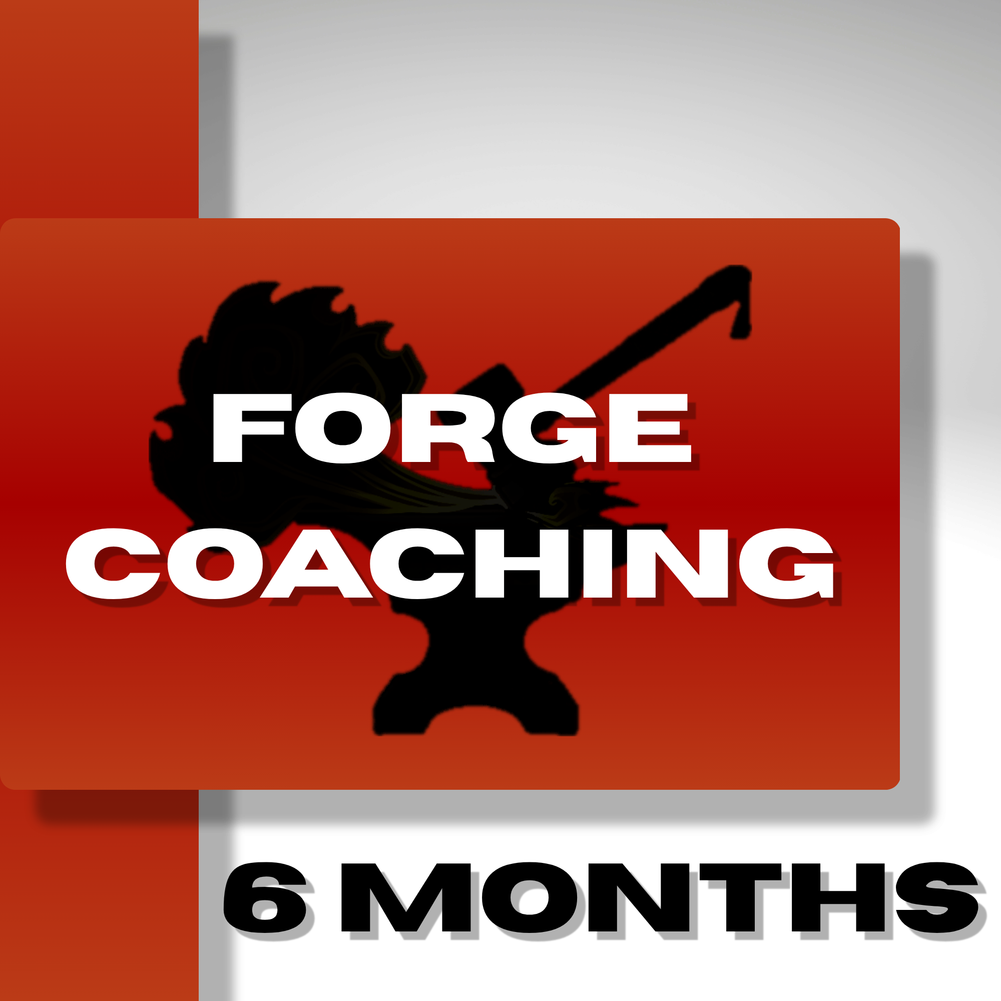 Forge Coaching (6 months)