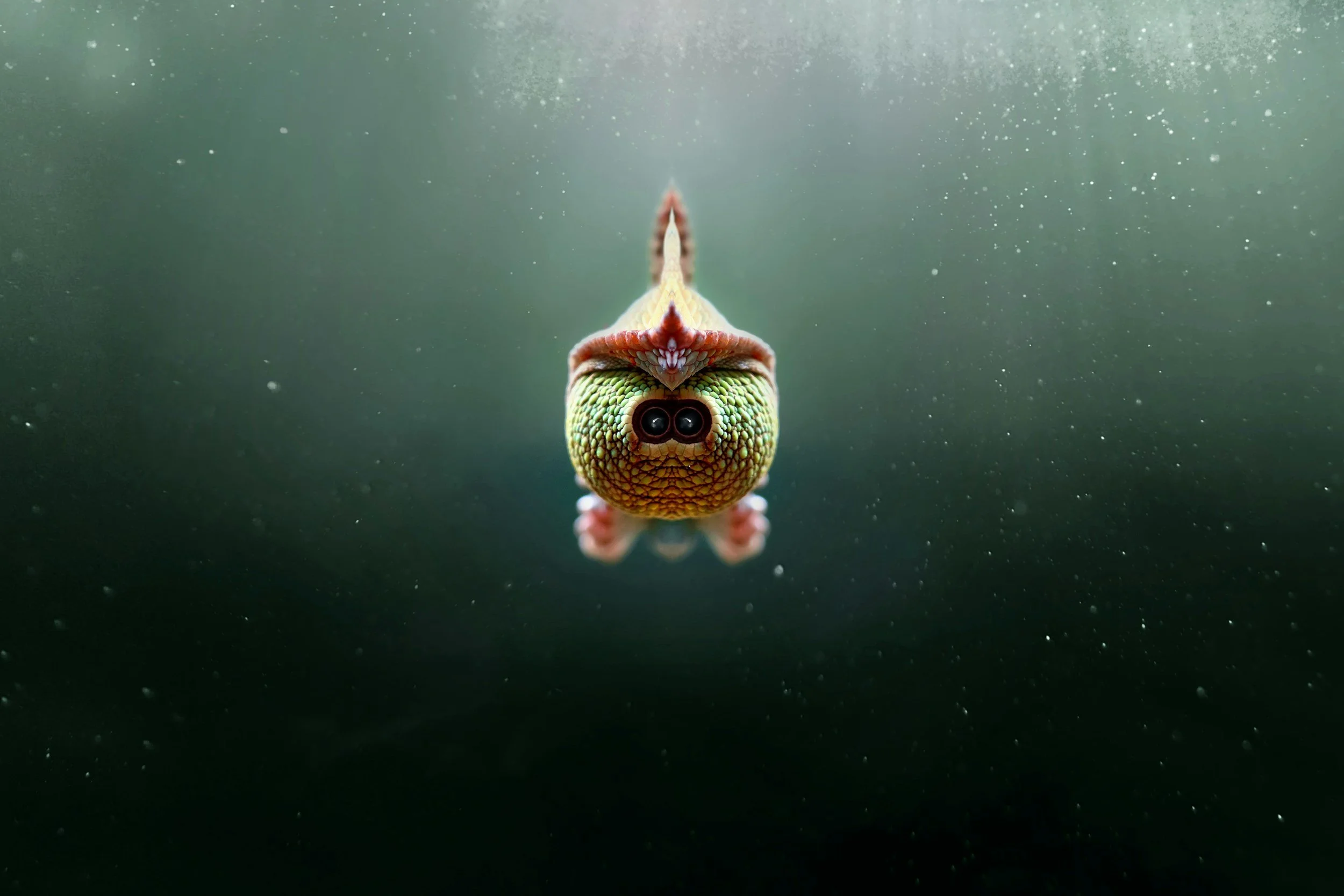 Is tung tung tung sahur or tralalelo tralala better?