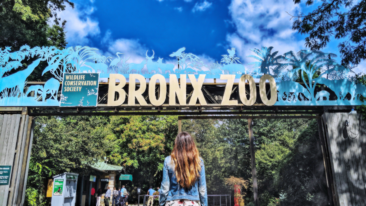 5 BEST THINGS TO DO IN the BRONX, NEW YORK
