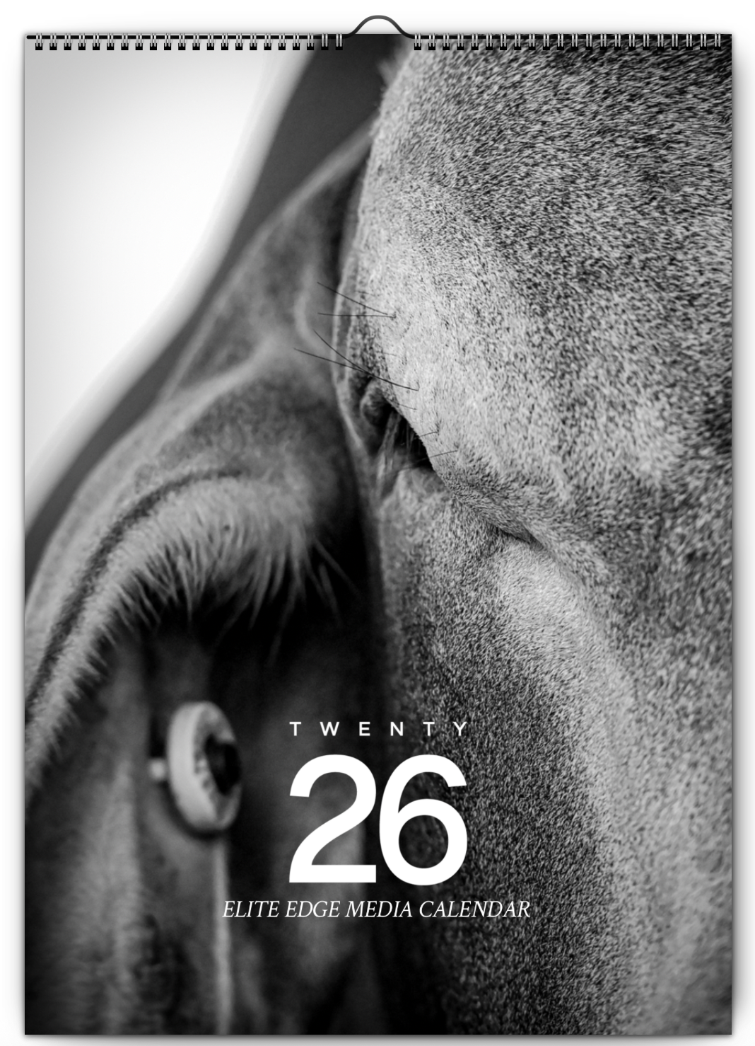 PRE ORDER 'RURAL RHYTHMS 2026 CALENDAR'