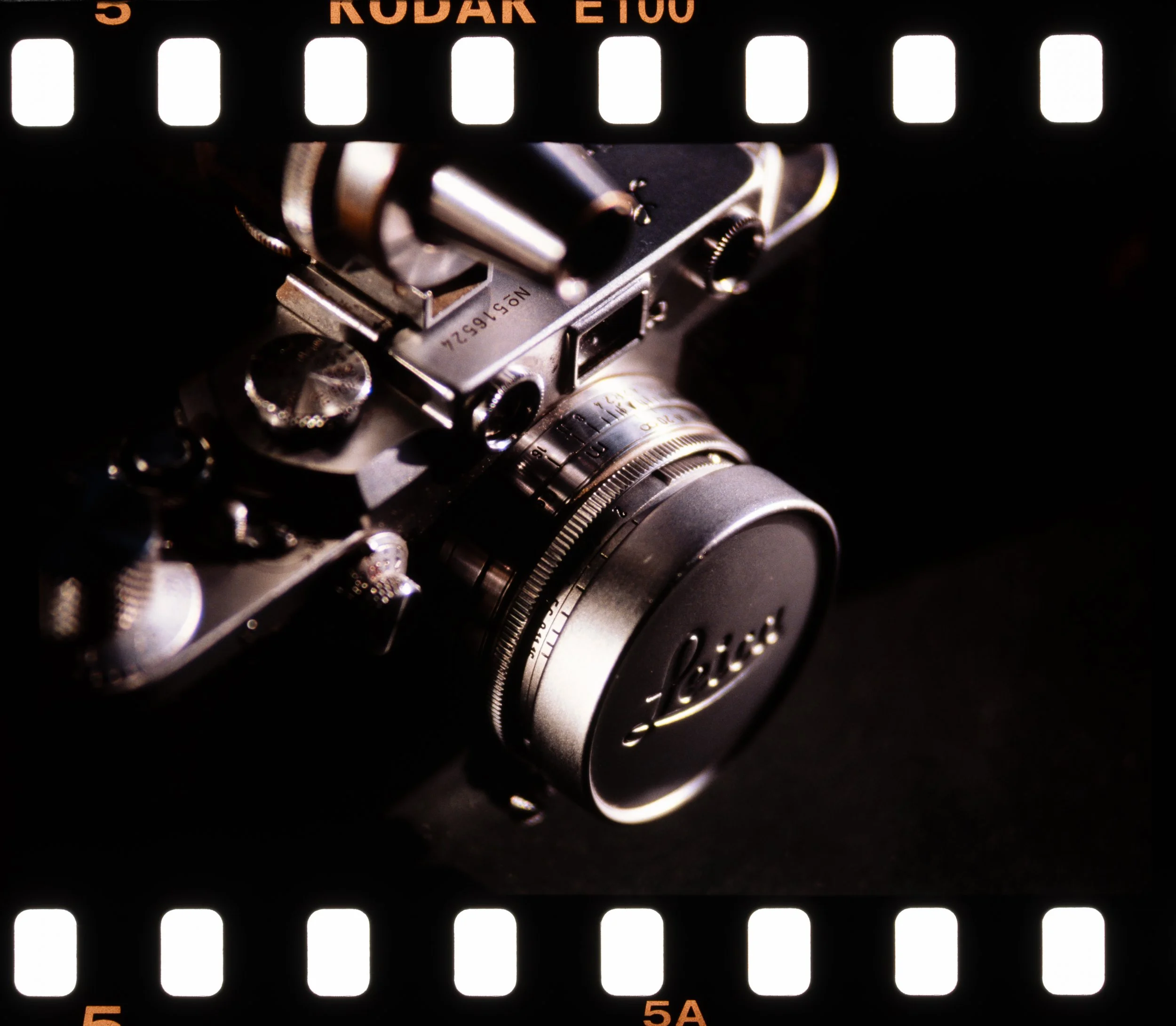 Summer Shots 2025-39.jpg