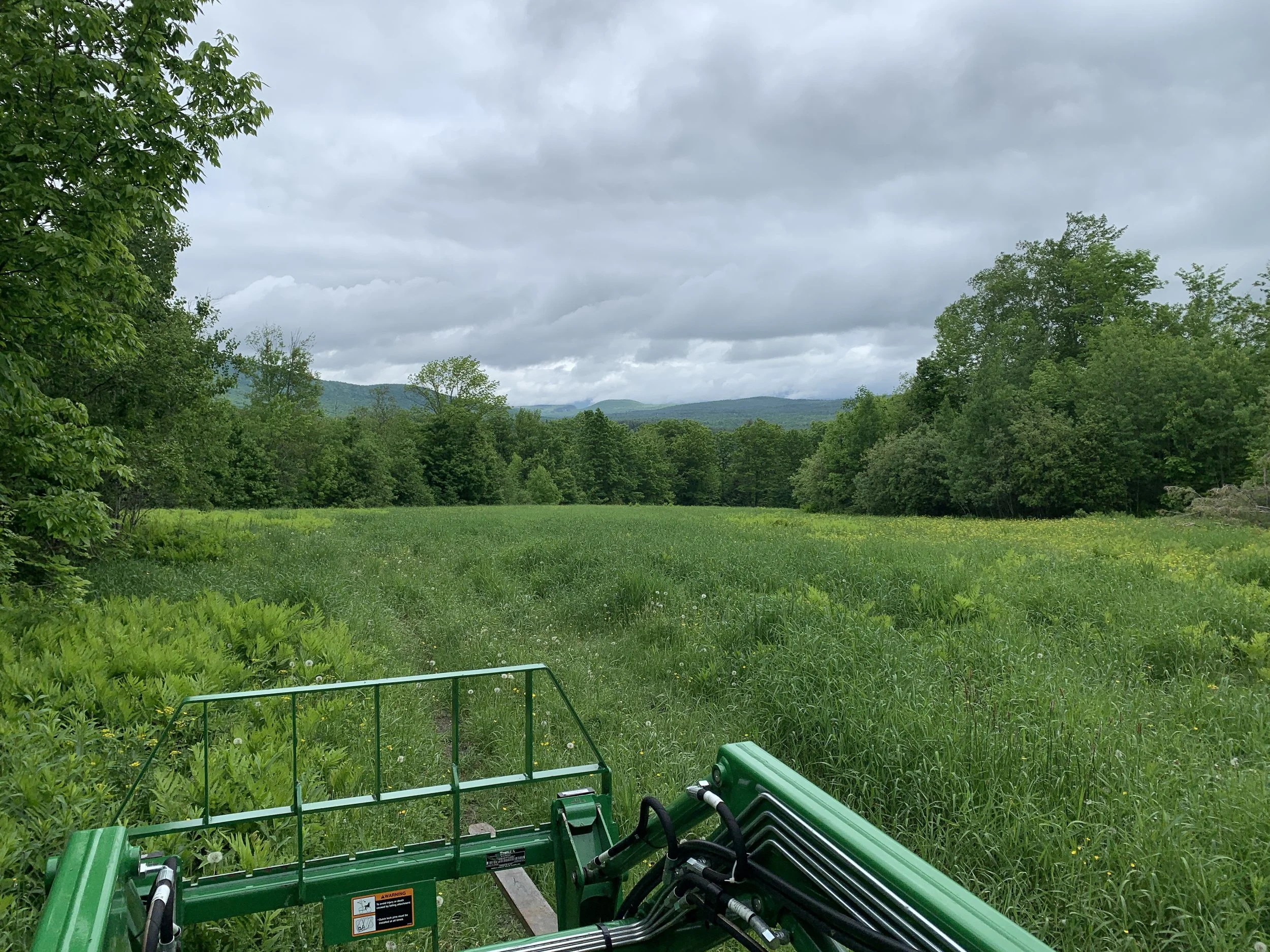 Tractor and land work brush hogging skid steer