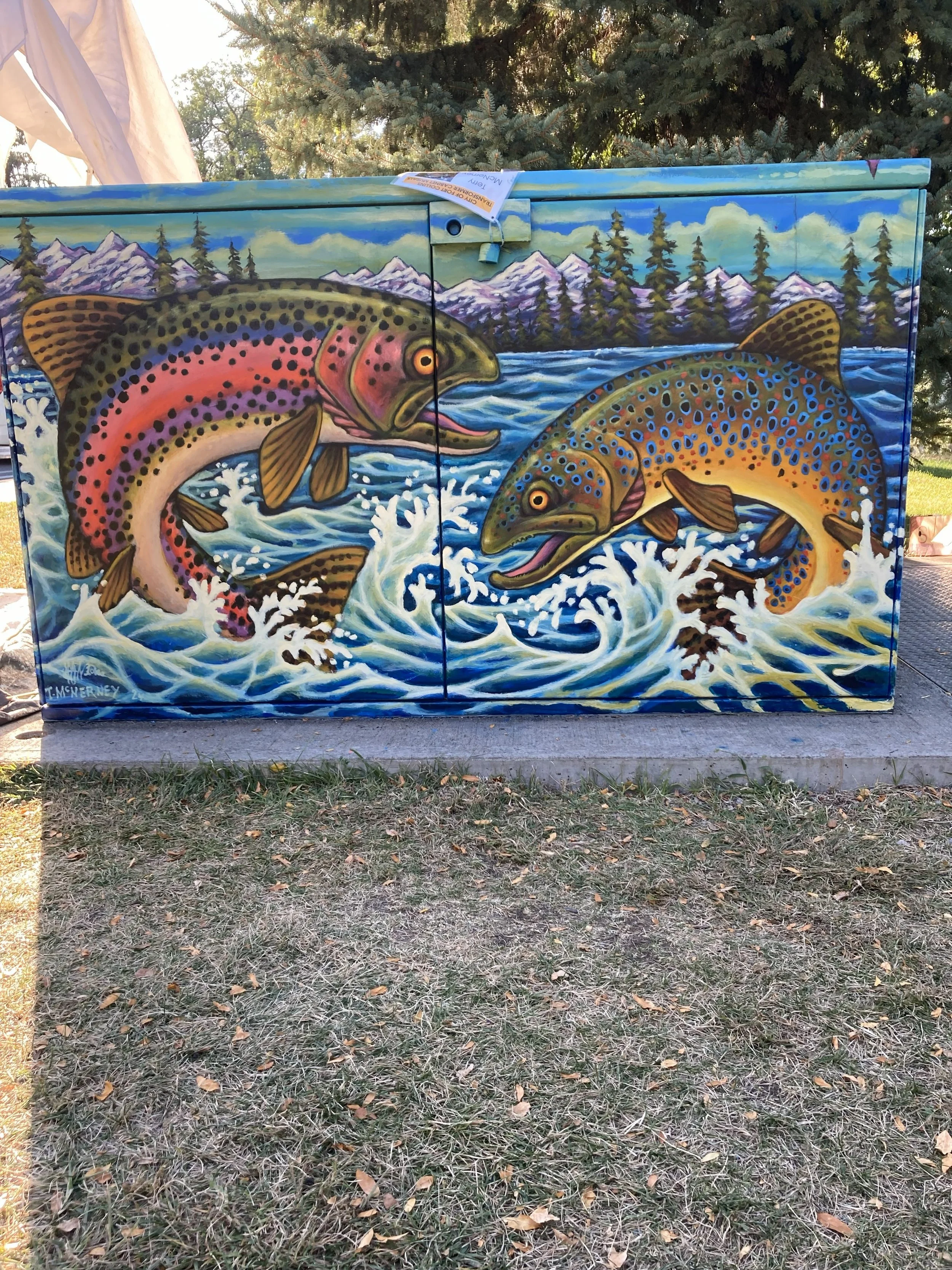 Detail Side View of Gone Fishing, 2024, exterior paint on metal transformer, painted all 4 sides and top 5' x 6',  located on the CSU campus, commissioned by the City of Fort Collins Art in Public Places