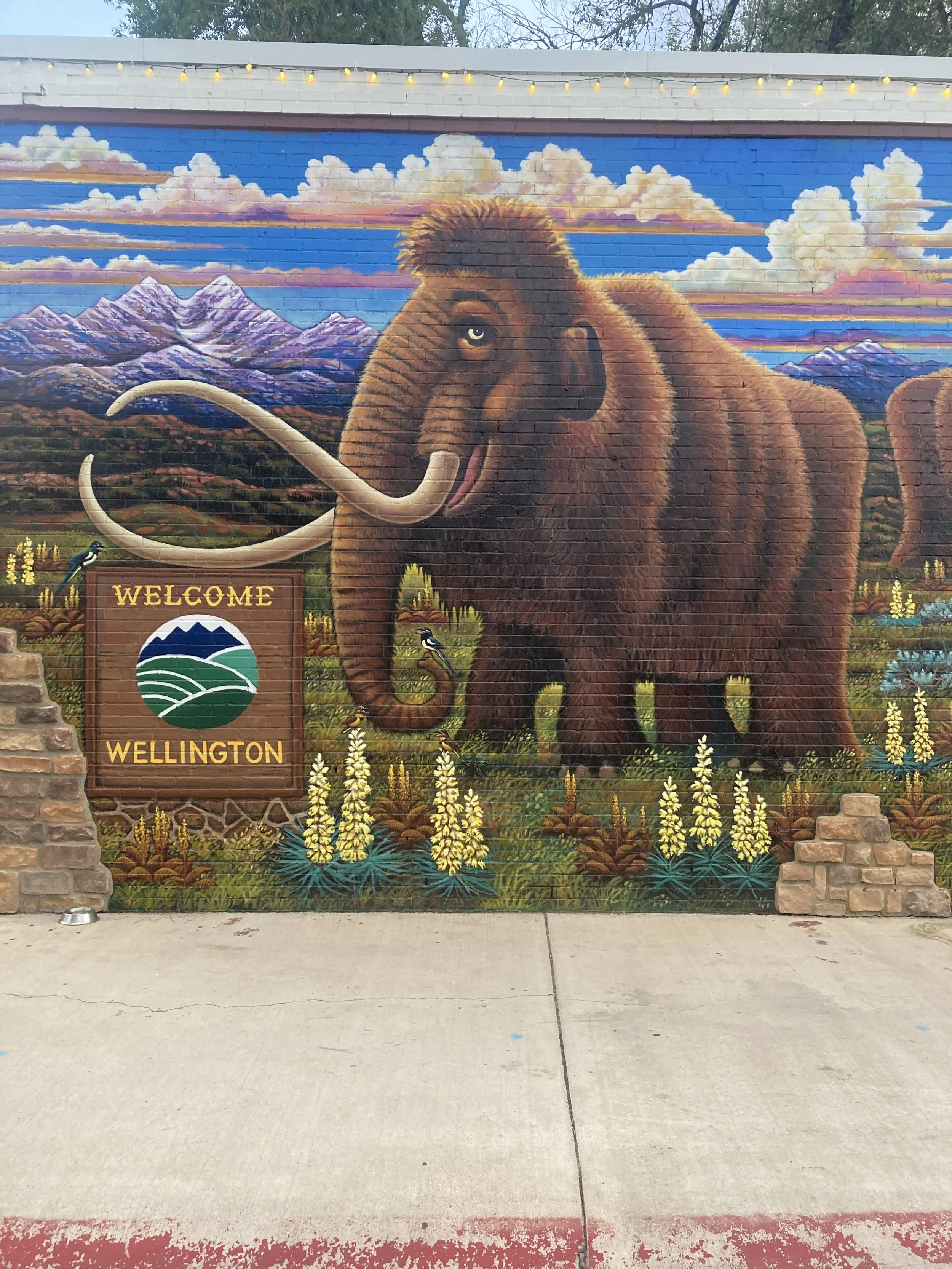 Detail Welly at Wellington Grill, 2025, exterior paint on brick, full mural size 18' x 60', located in Wellington county, commissioned by City of Wellington