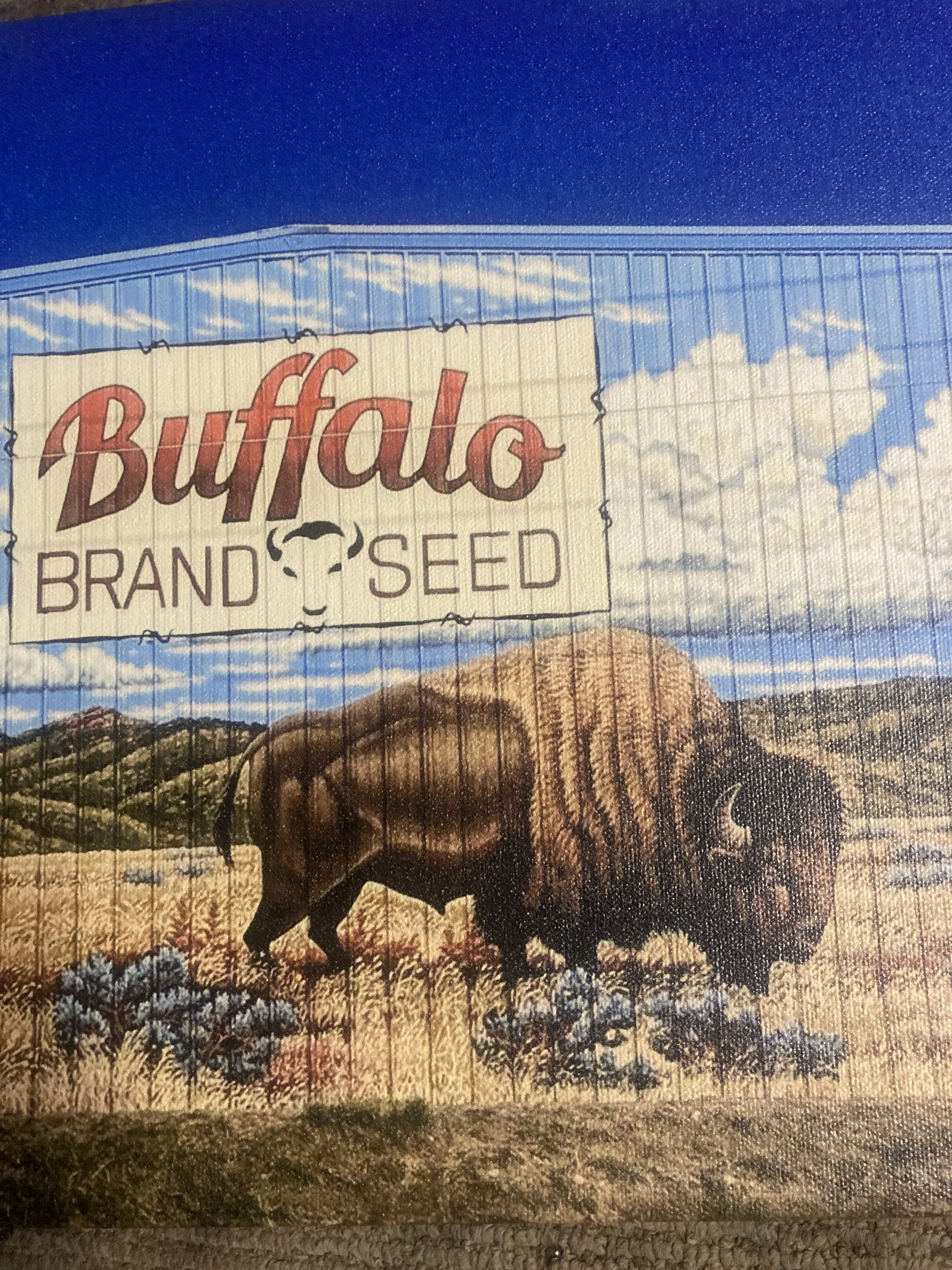 A billboard featuring the Buffalo Brand Seed logo with a buffalo illustration in an open field with blue sky and clouds.