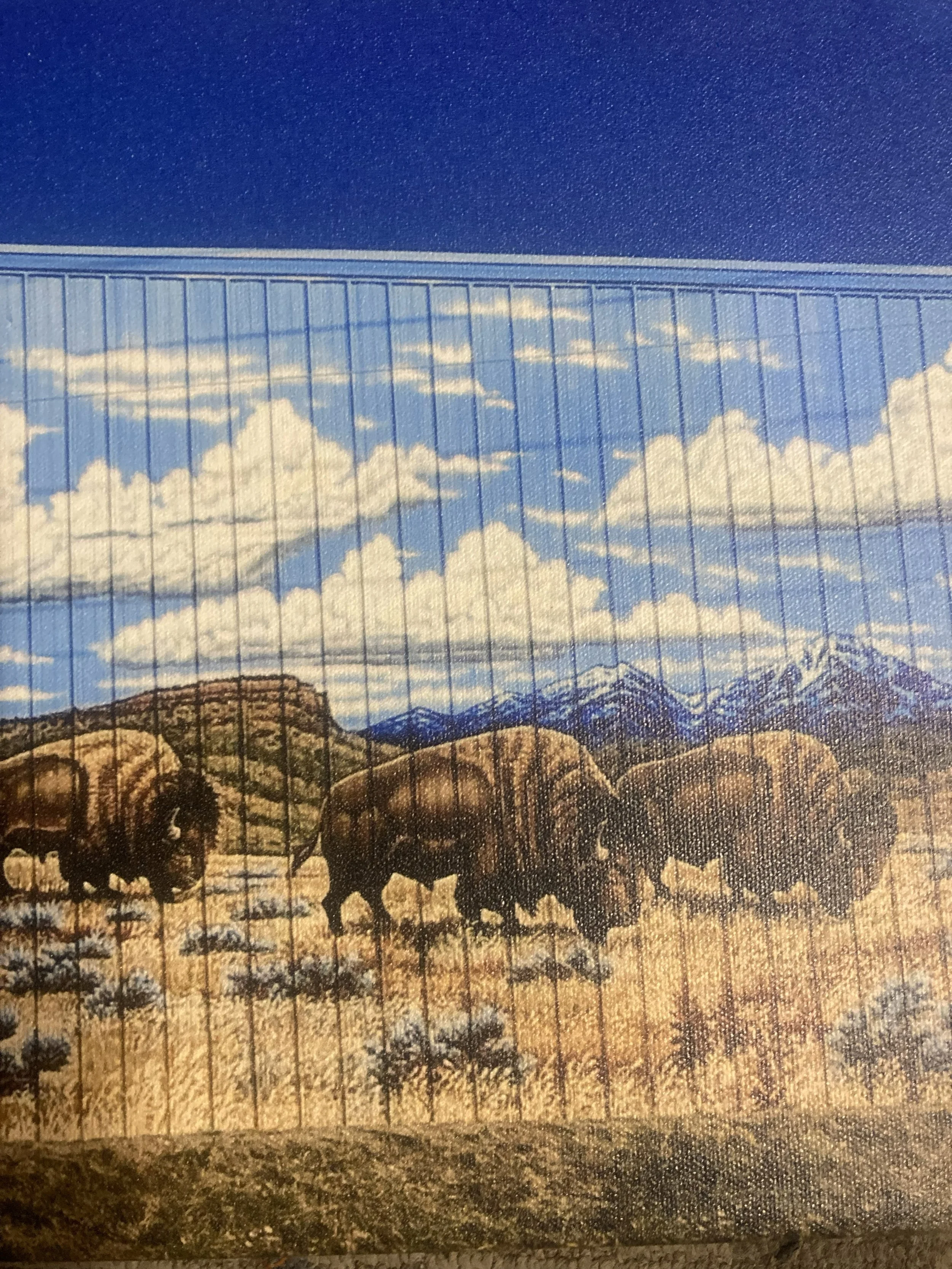 Detail of Buffalo Seed mural, 2018, full mural size is 20' x 90', exterior paint on corrugated metal, located in Greeley, commissioned by Buffalo Seed