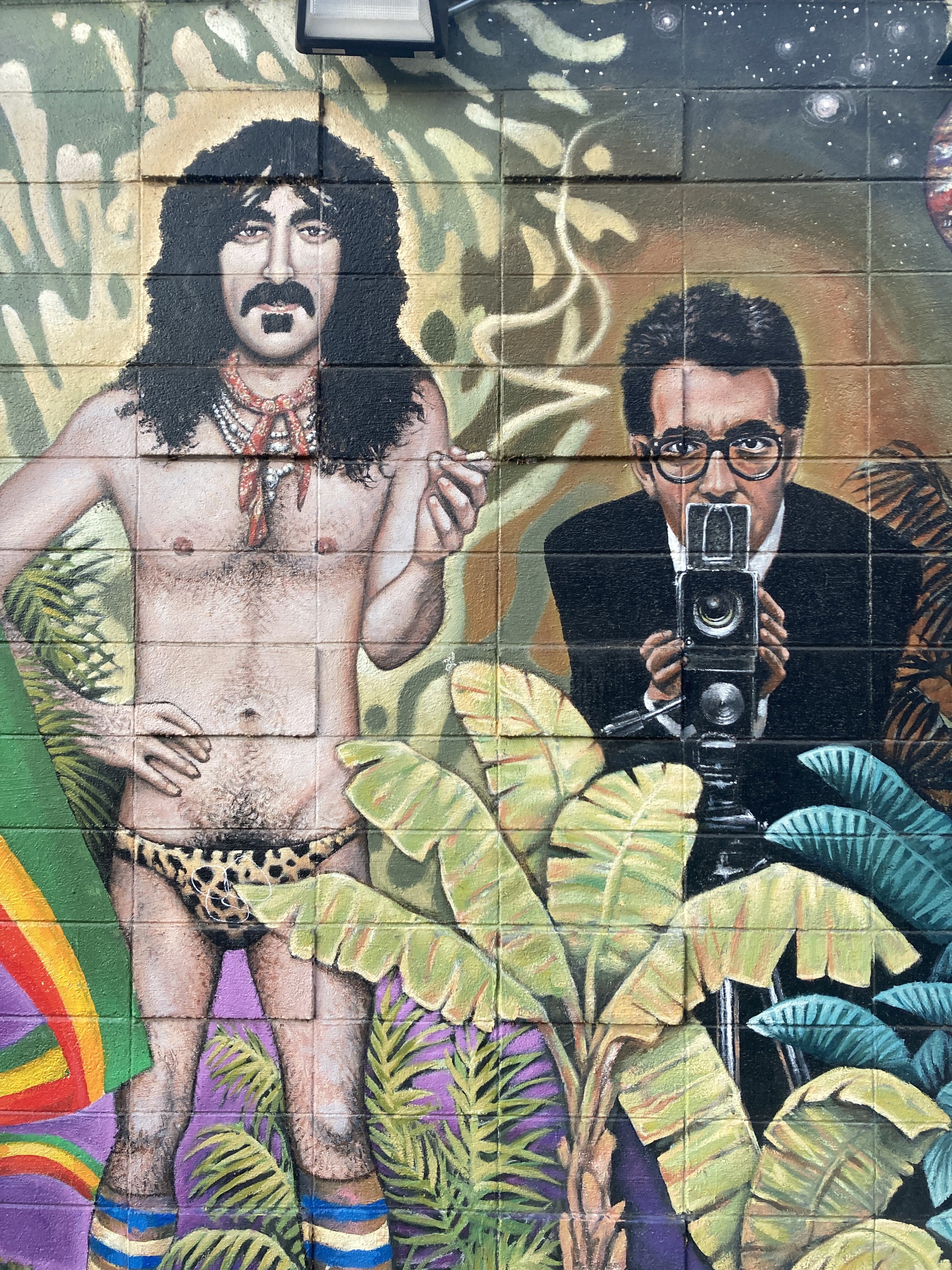 Detail Frantz Zappa, 2016, exterior paint on cinder block, full mural size 12' x 60', located at Rockin Robbins on College Ave, commissioned by Rockin Robbins