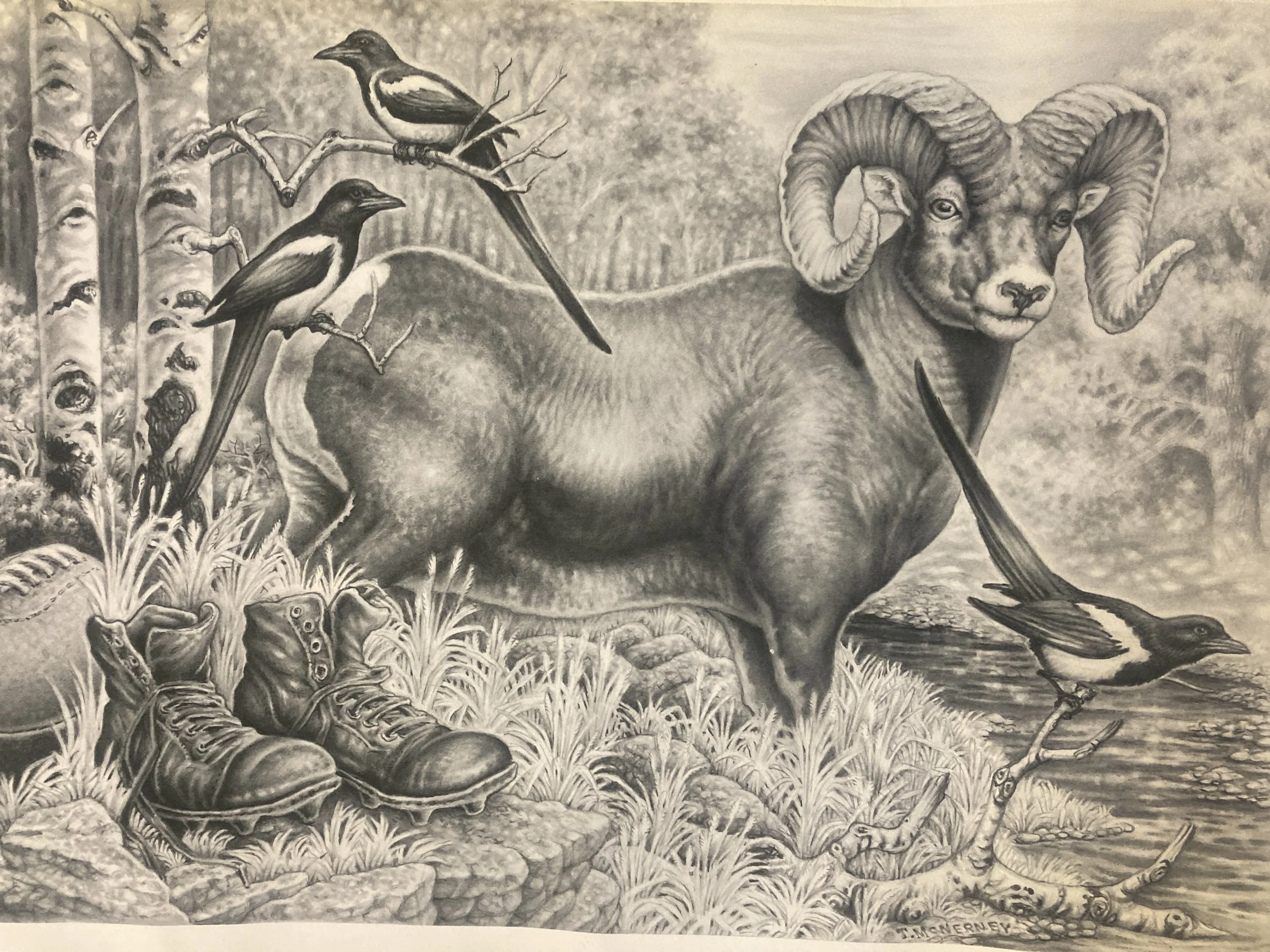 Ram, 2018, Graphite on Paper, CSU Auction