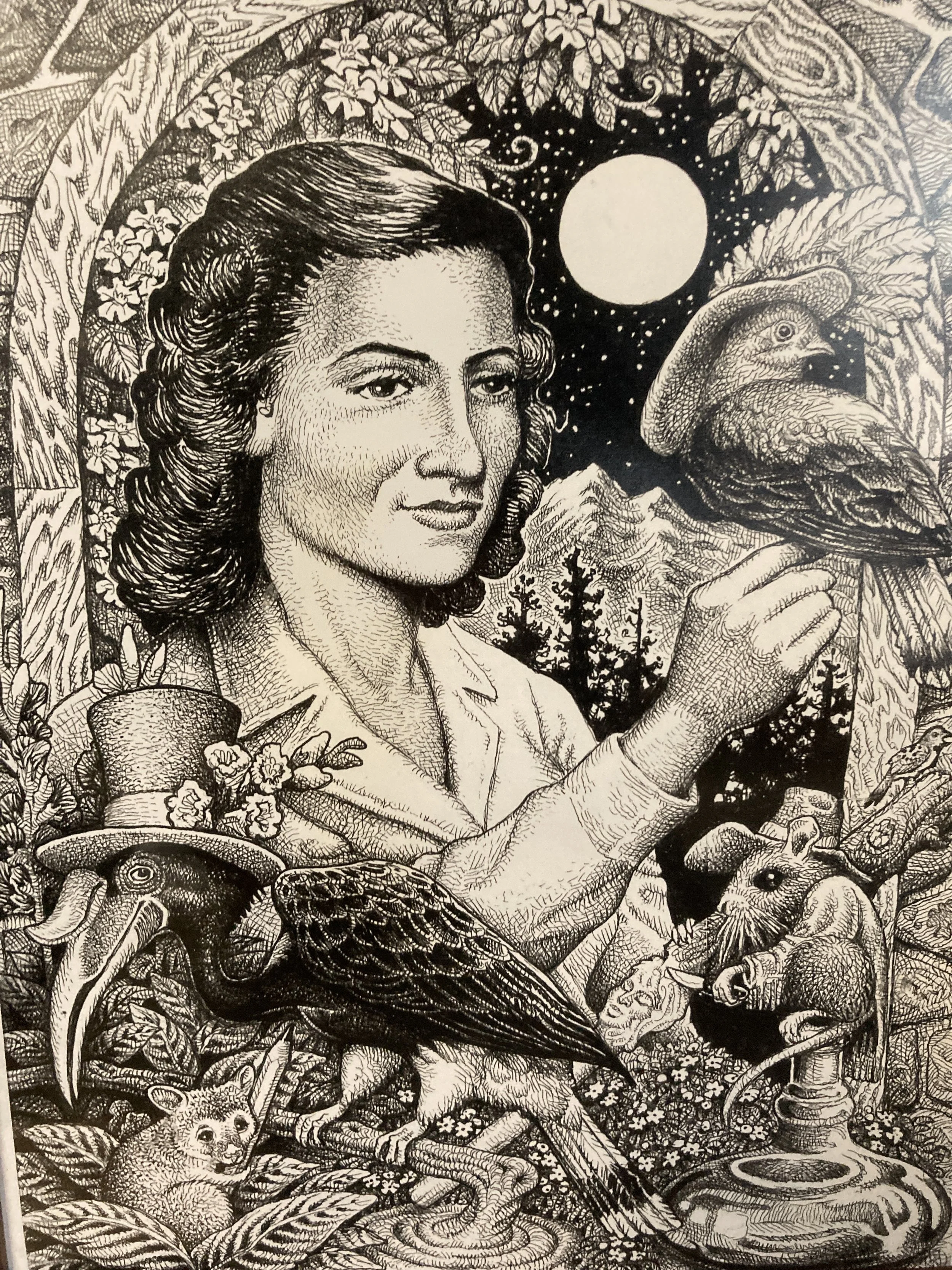 Come In No.2, 2013, Ink on Paper, 10" x 16"