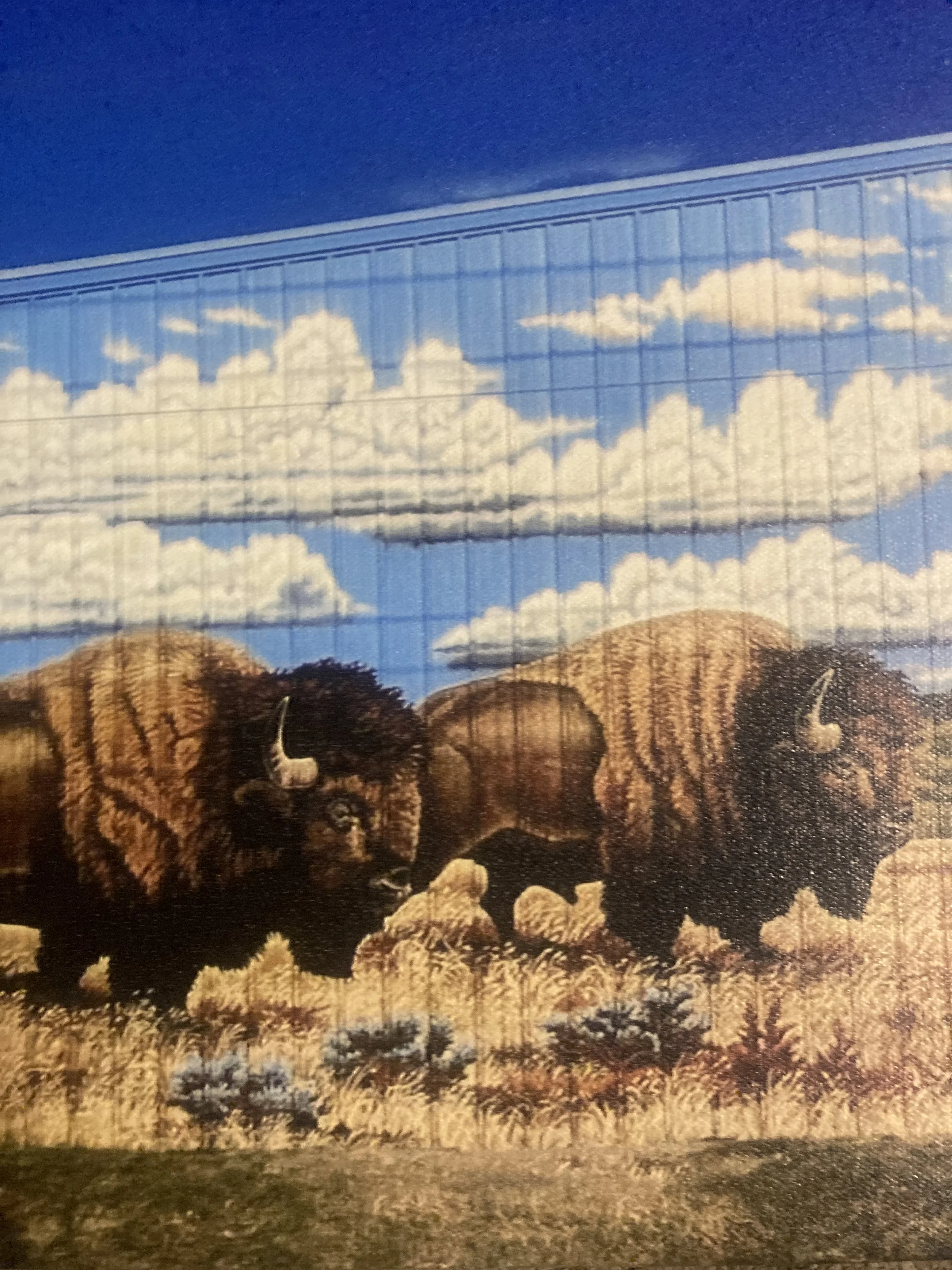 Detail of Buffalo Seed mural, 2018, full mural size is 20' x 90', exterior paint on corrugated metal, located in Greeley, commissioned by Buffalo Seed
