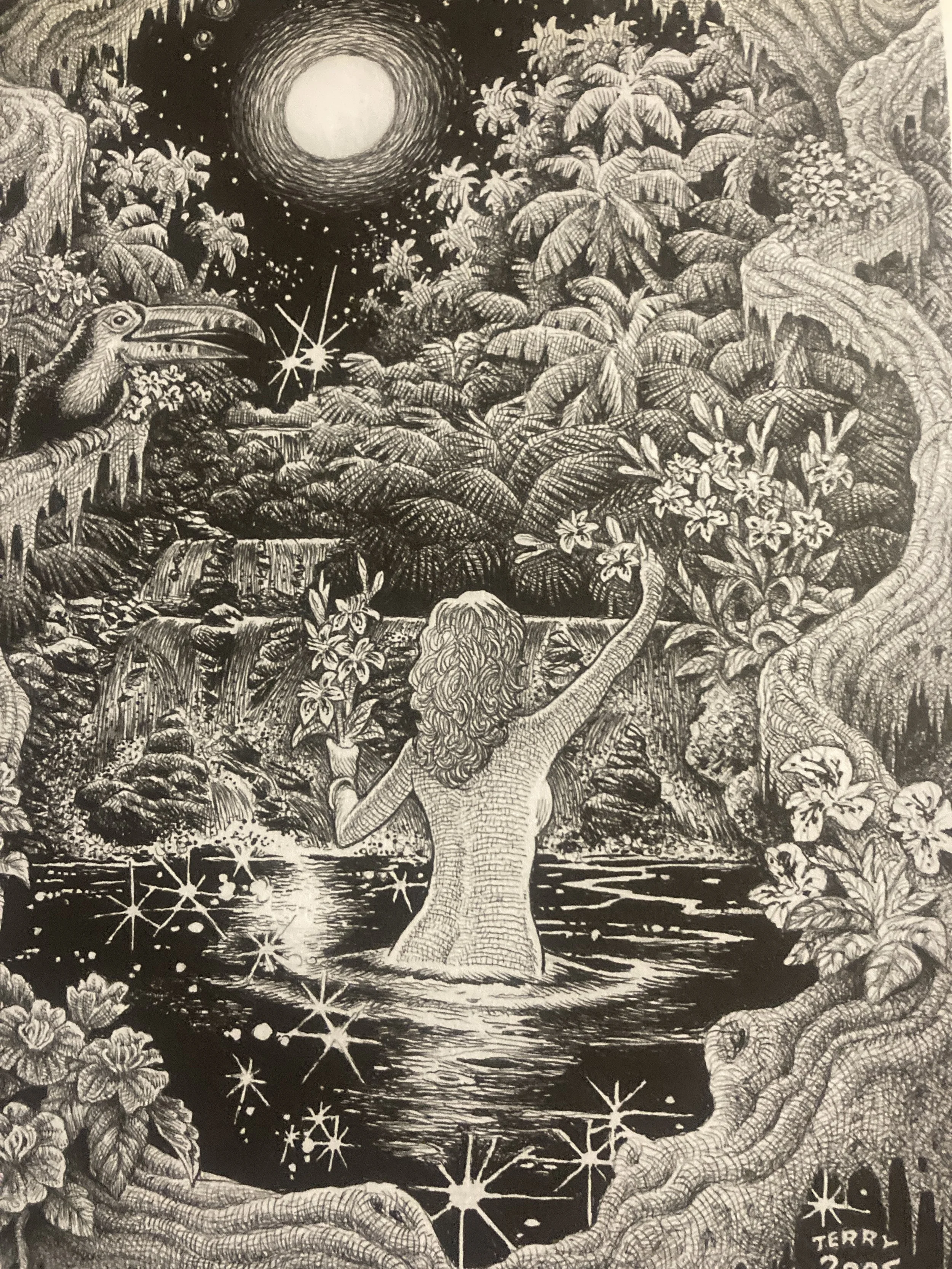 Gardenia Serenade, 2007, Ink on Paper, 9" x 11"