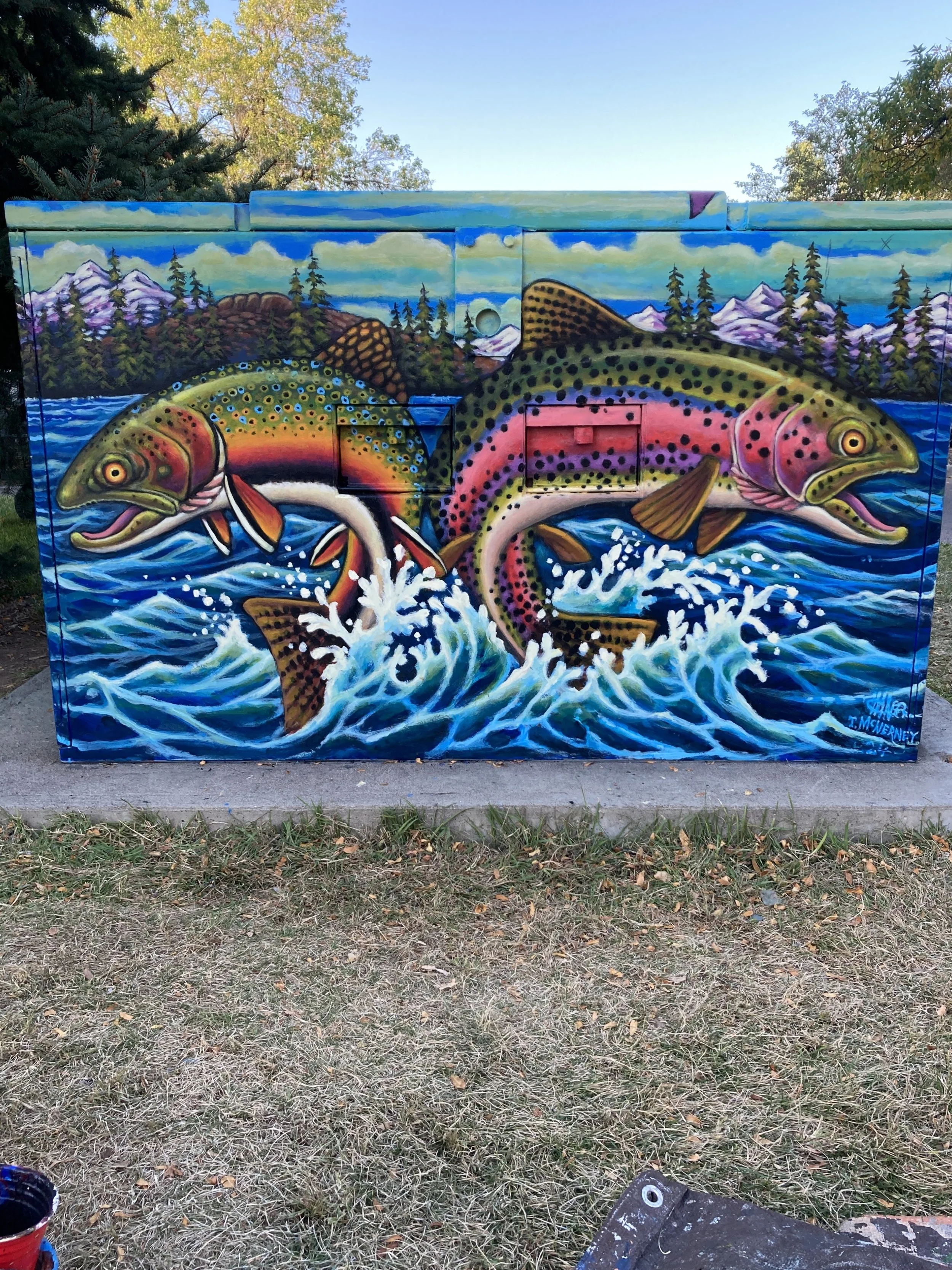 Detail Side View of Gone Fishing, 2024, exterior paint on metal transformer, painted all 4 sides and top 5' x 6', located on the CSU campus, commissioned by the City of Fort Collins Art in Public Places