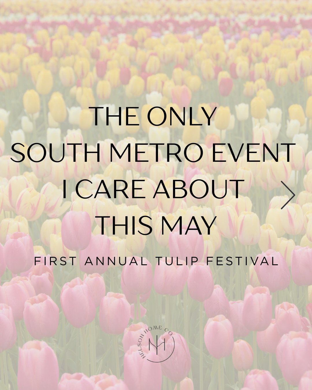 I can&rsquo;t even tell you how excited I am. Does it show? 😂

A TULIP FESTIVAL?! Just 15 minutes from Lakeville?! 
🌷🌷🌷🌷🌷🌷🌷🌷🌷🌷🌷

3 acres. 160,000 flowers. 36 varieties. 

Send this to a girlfriend to plan your girls day in the flowers and