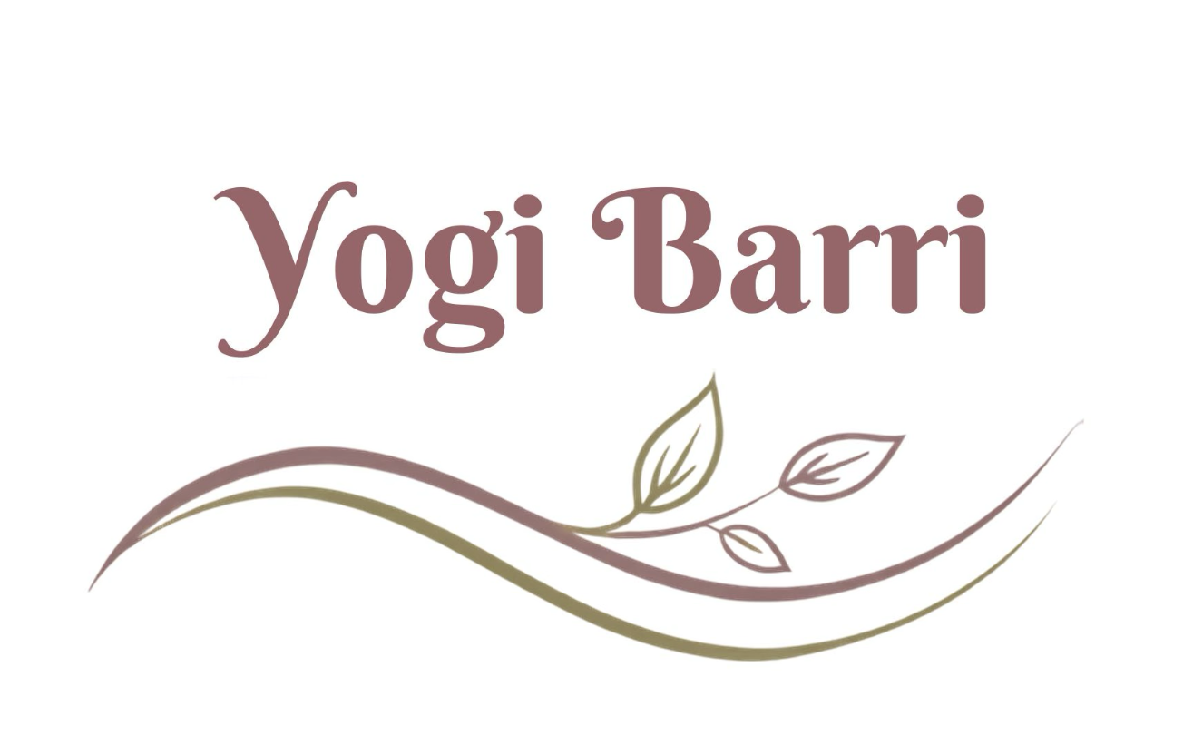 Baby & Me Pilates with Barri Goldstein