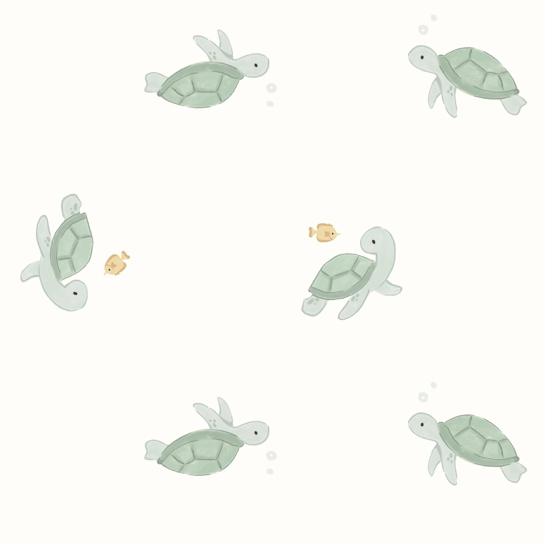_turtles.jpg