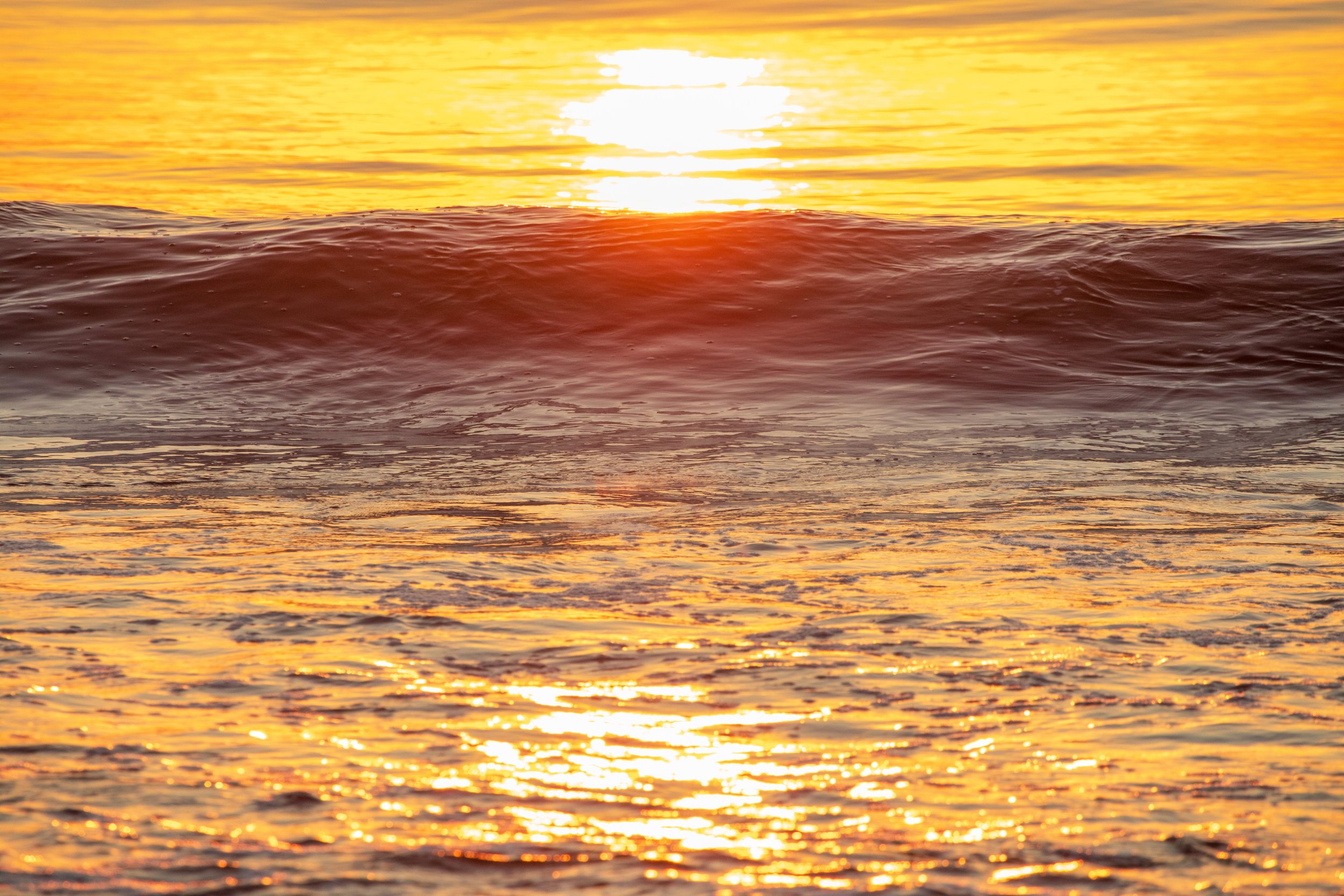 1:1 Pre-wavebreak Sun Glare.jpg