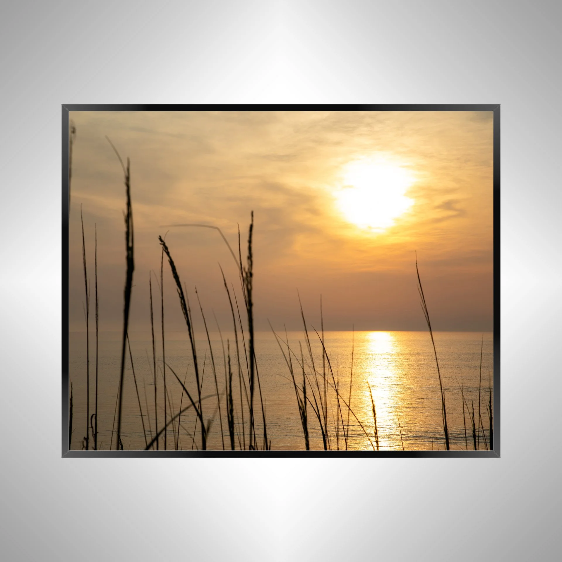 1/1 Sunrise Reflection thru Dunegrass