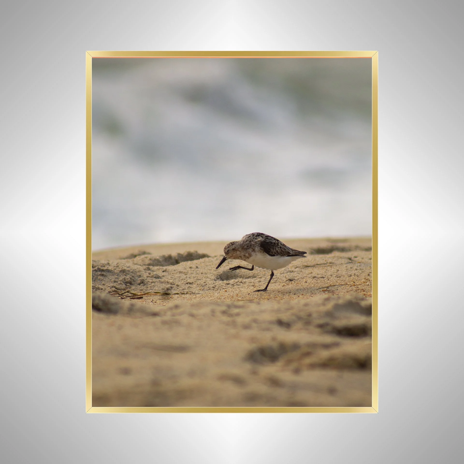 1:1 Itchy Willet- Gold Metal.jpg