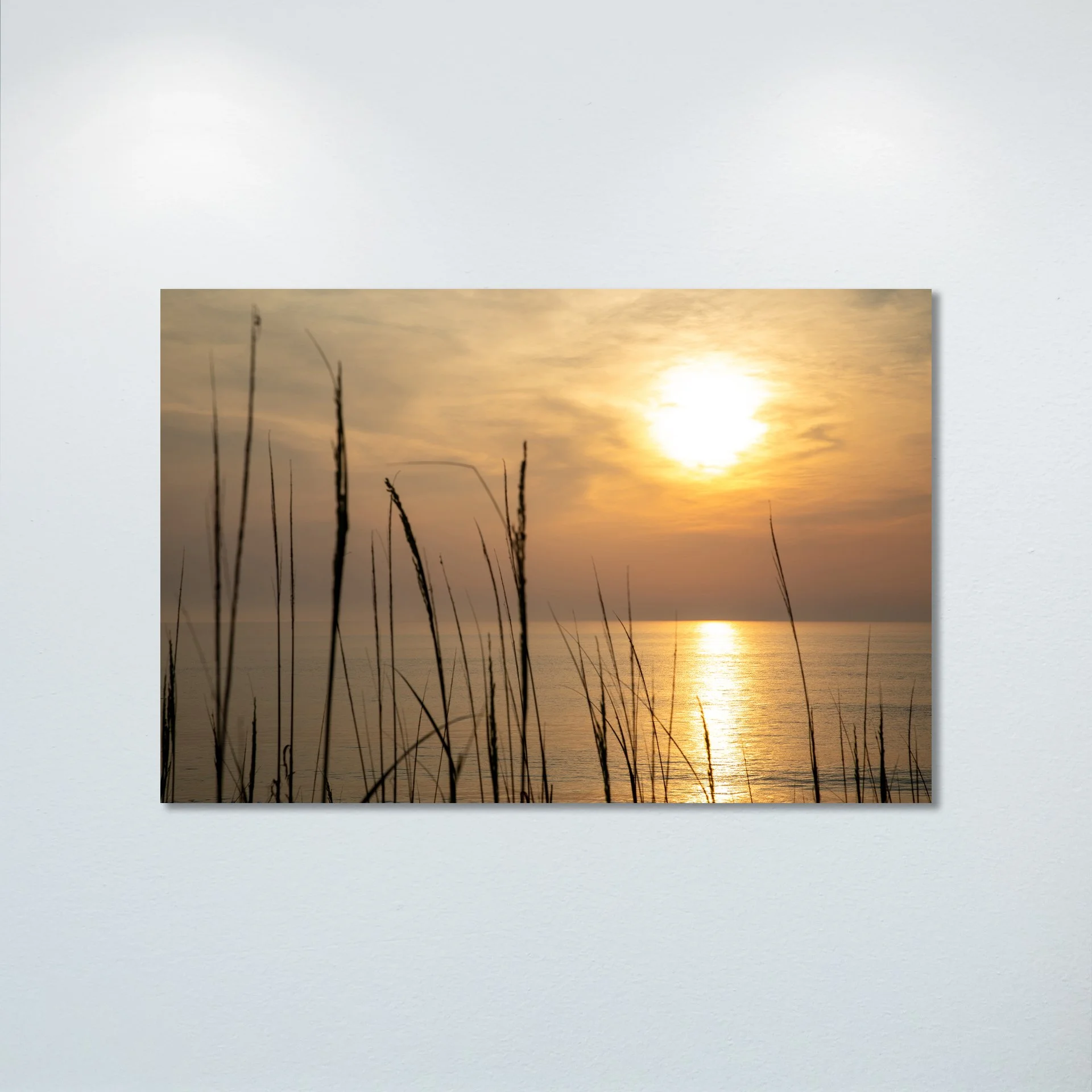 1/1 Sunrise Reflection thru Dunegrass