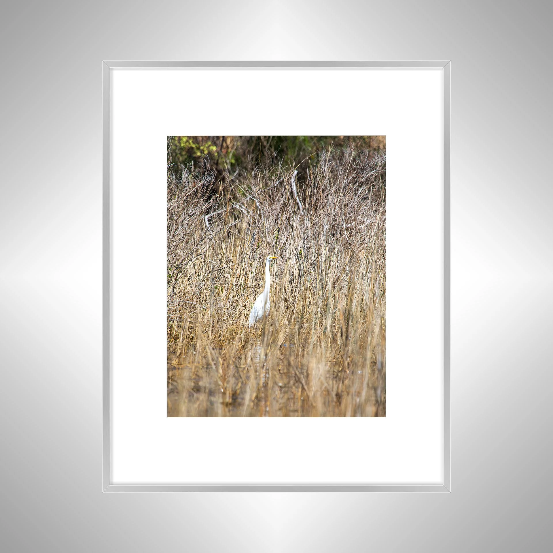 1:1 Wading Egret- Silver w: Border.jpg