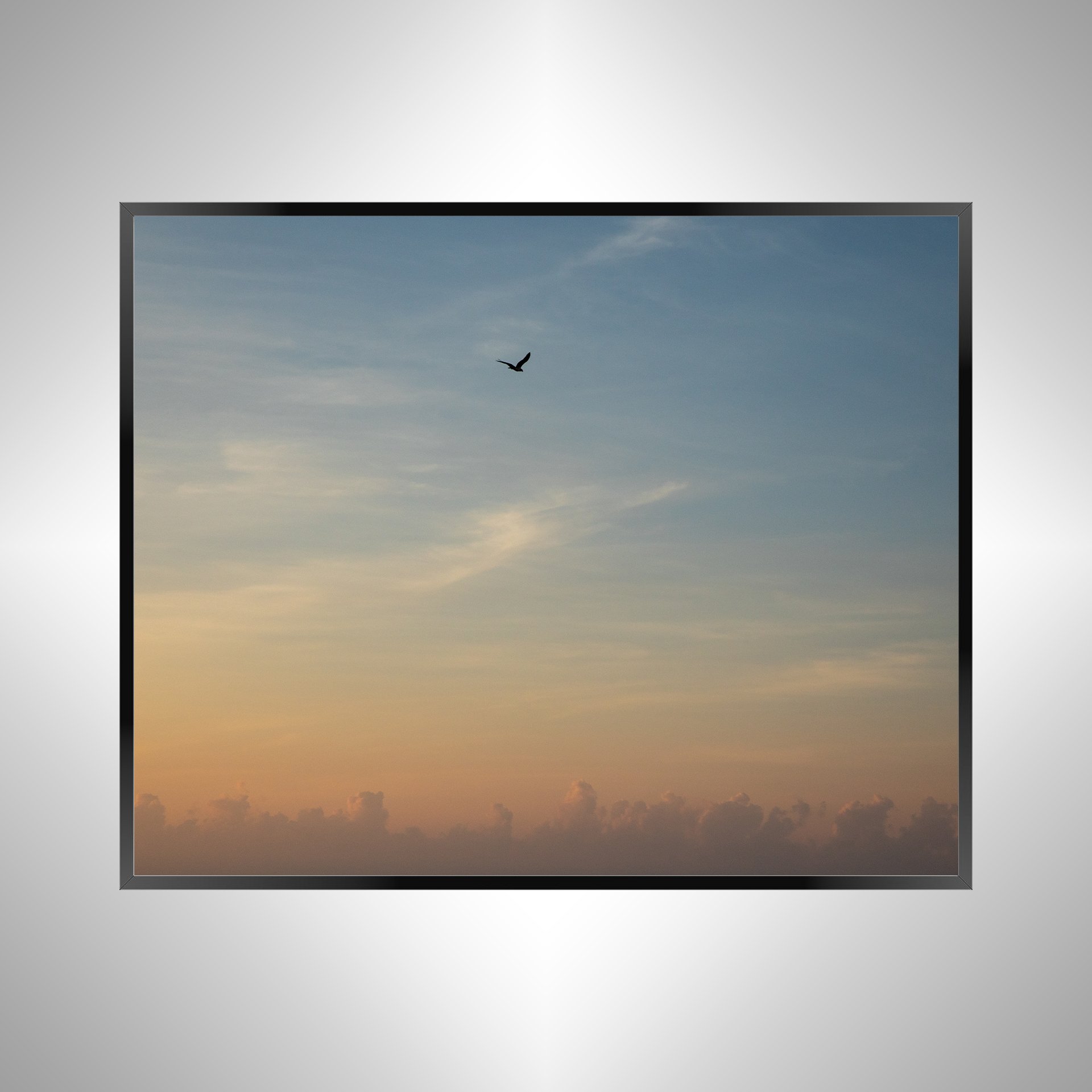 1/1 Seagull Infront of Sunrise Clouds