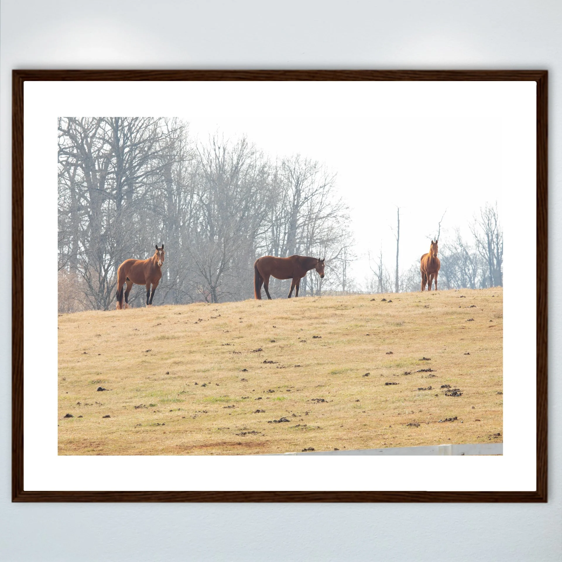 1:10 Horse Hill- Wood w: Border.jpg