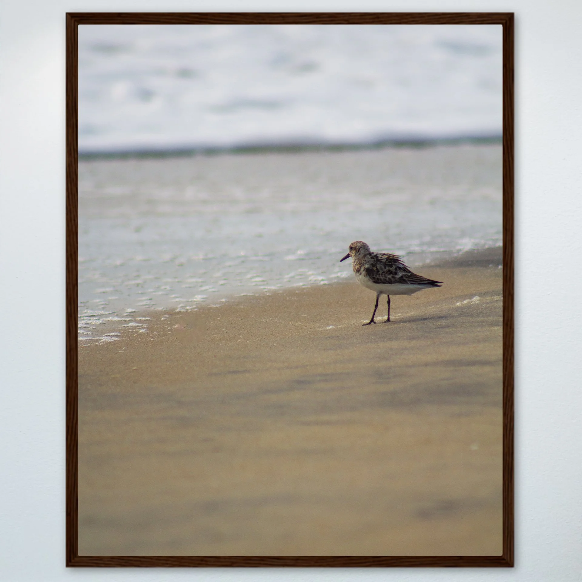 1:10 Sanderling at the Beach- Wood.jpg