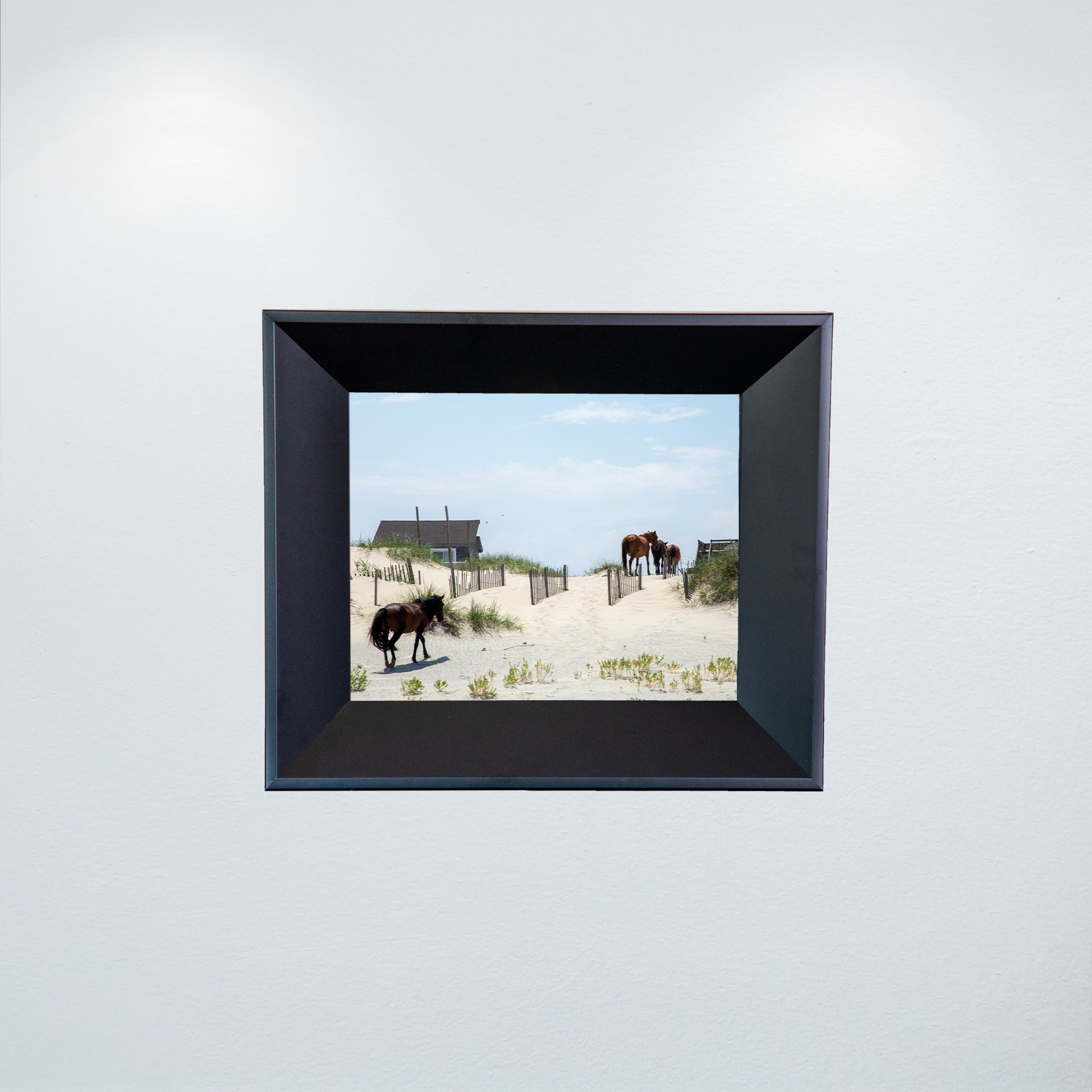 1:1 Wild Horses in OBX (Carova, NC)- Mini.jpg