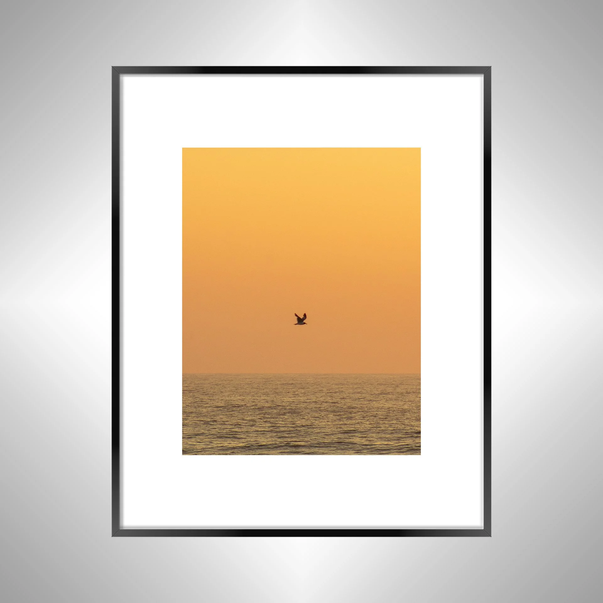 1:10 Sunrise Soaring Seagull-bwb.jpg