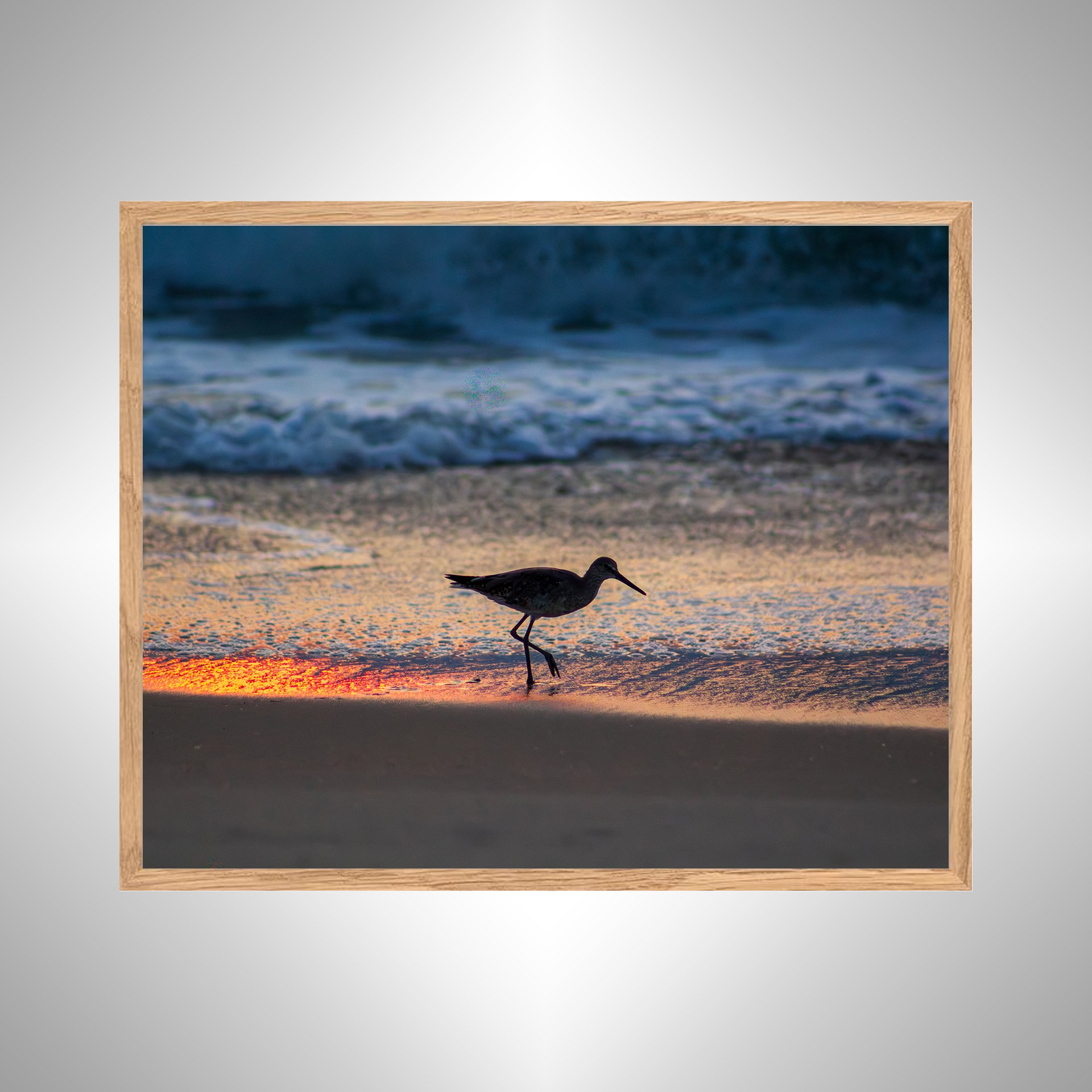 1:1 Willet Step- White copy NATTY.jpg