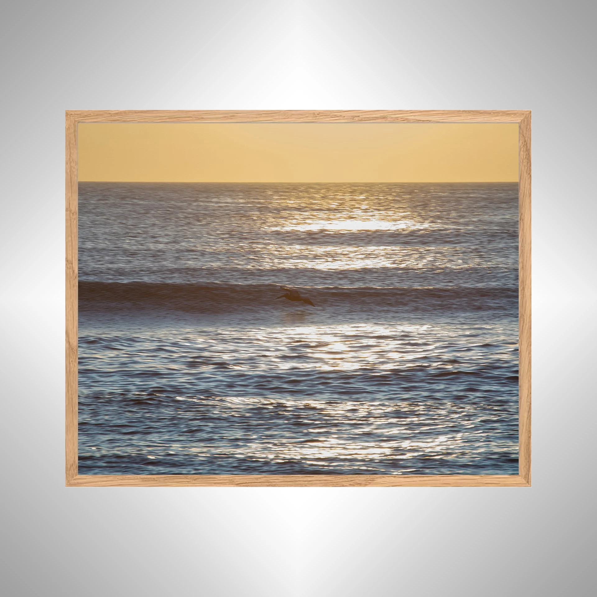 1:10 Wave Rider Glider- copy NATTY.jpg