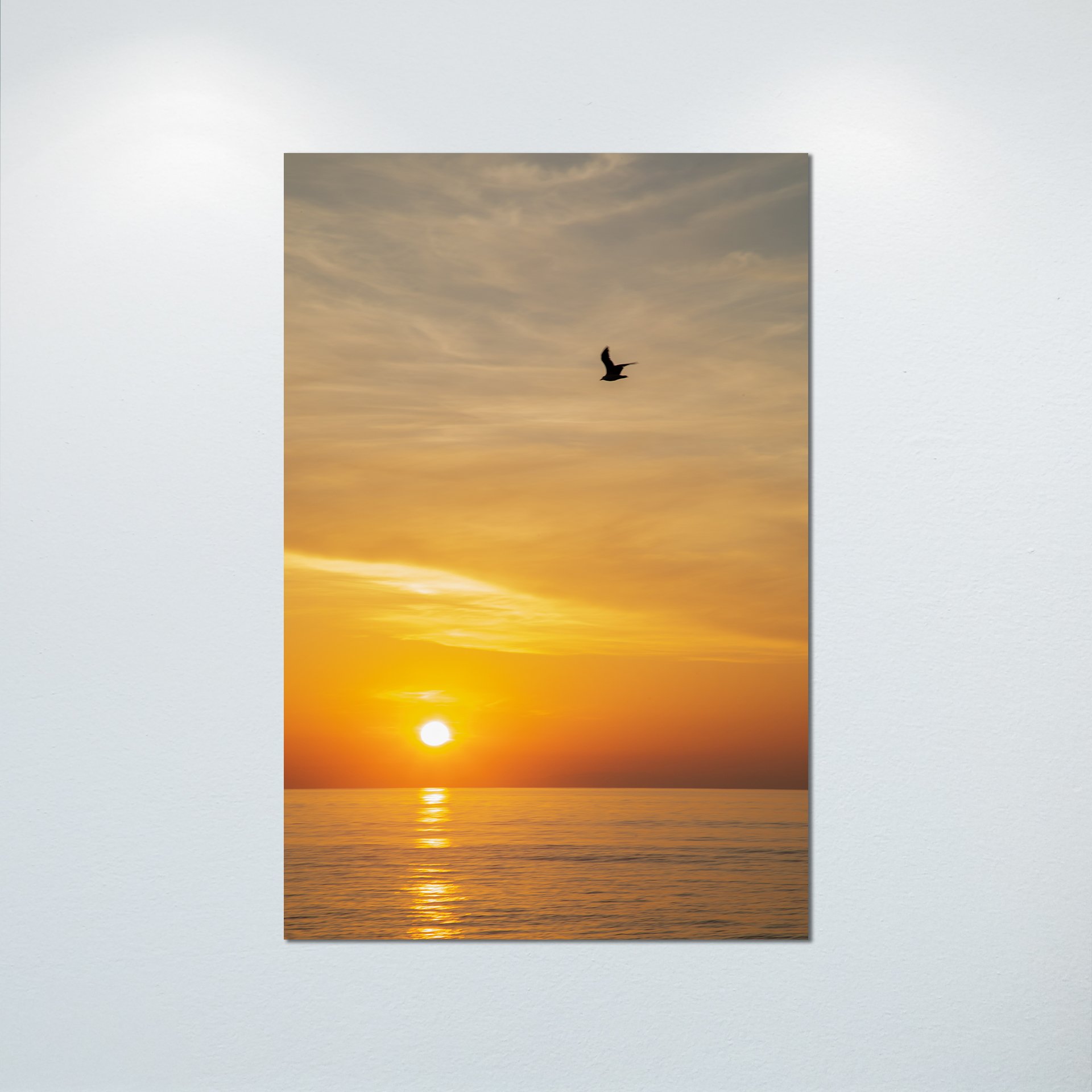 1:1 Seagull Sunrise- Poster & Canvas.jpg