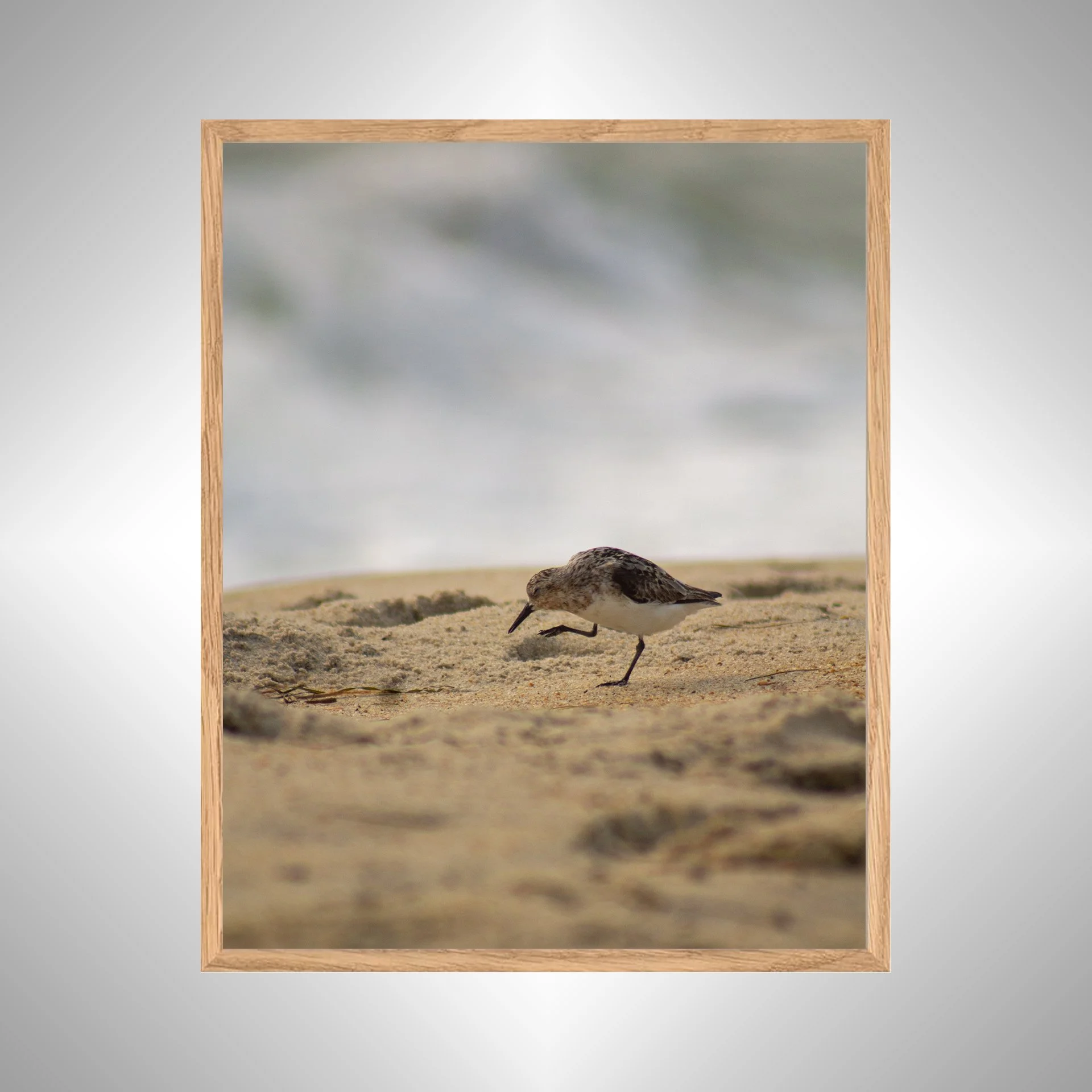 1:1 Itchy Willet- White Wood copy NATTY.jpg
