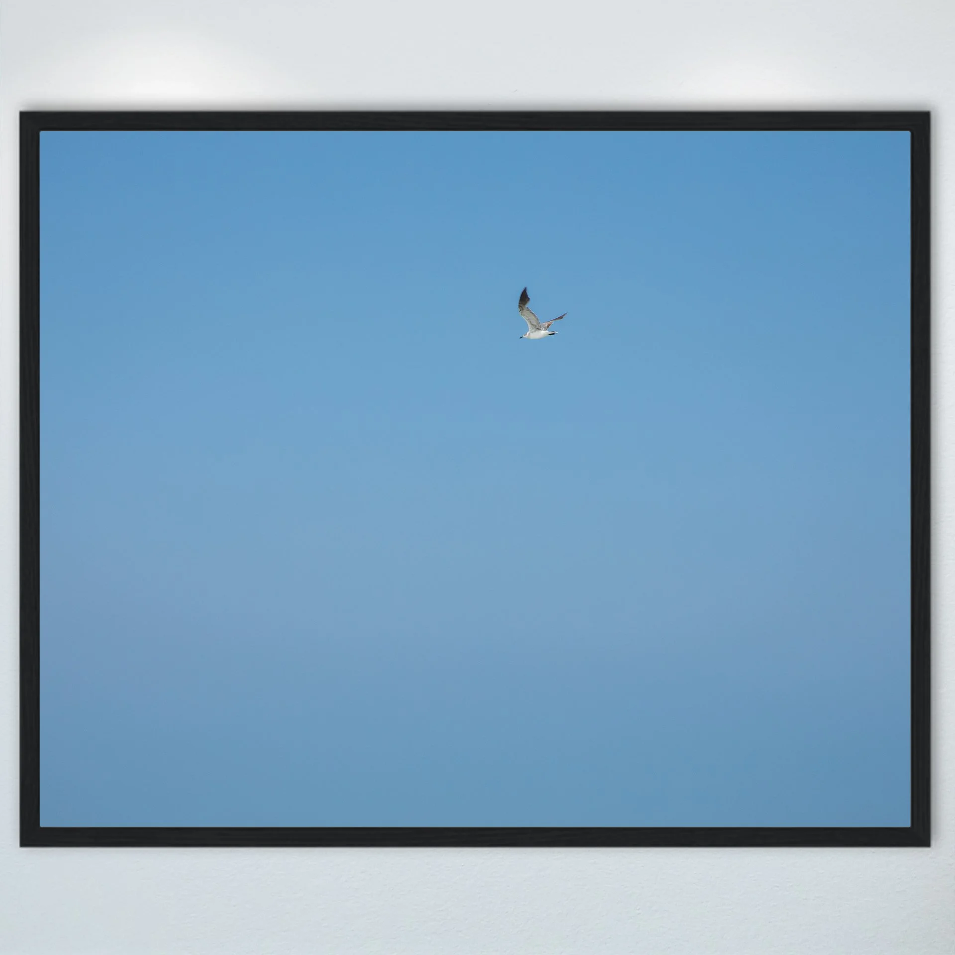 1:10 Blue Sky Seagull- Wood.jpg